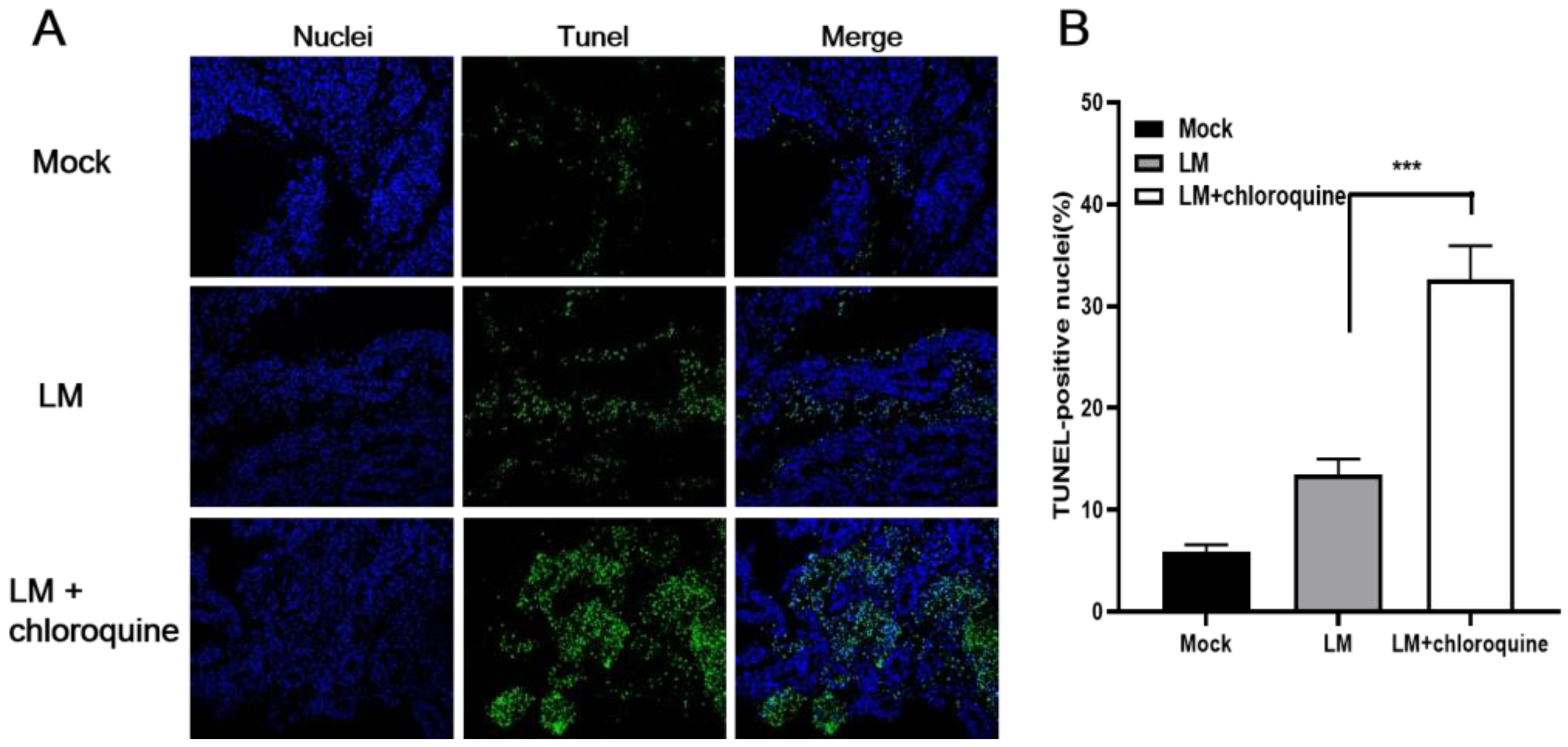 Microorganisms 11 00408 g004