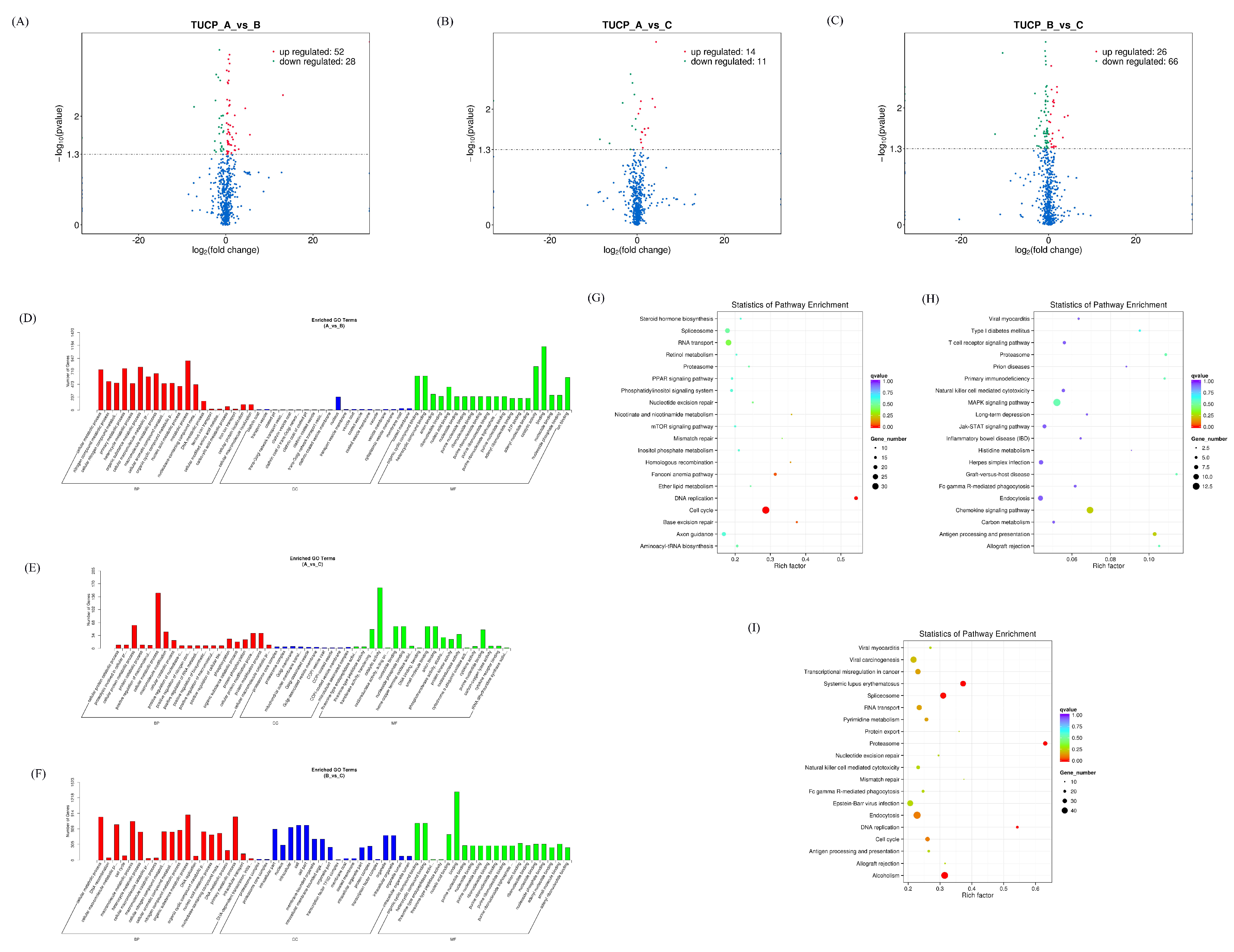 Microorganisms 11 00409 g008 Microorganisms 11 00409 g008