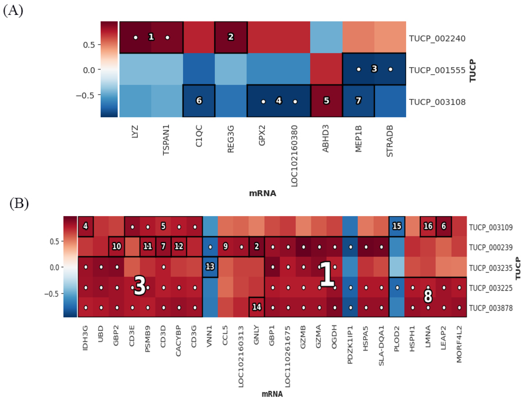 Microorganisms 11 00409 g009 Microorganisms 11 00409 g009