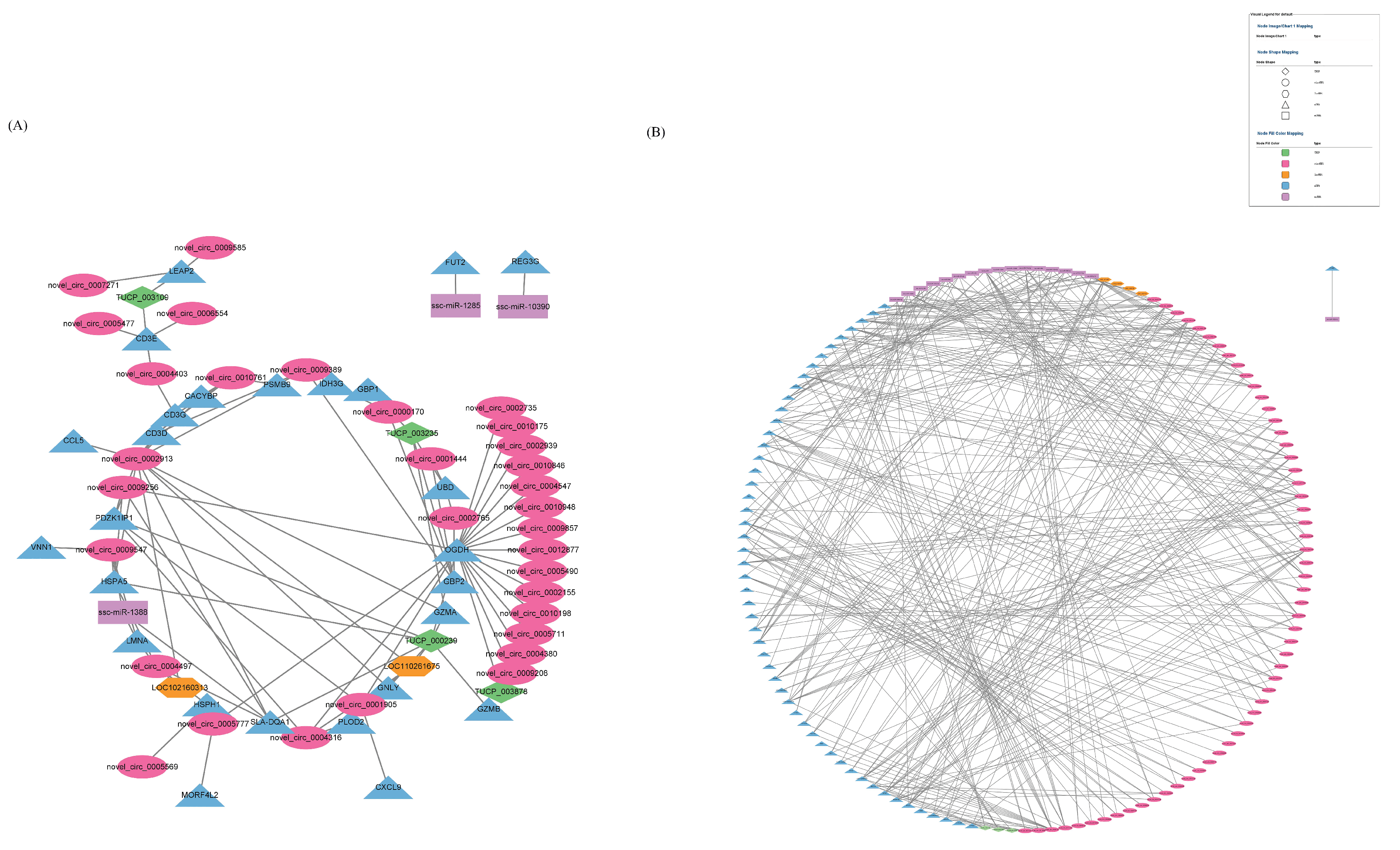 Microorganisms 11 00409 g010 Microorganisms 11 00409 g010