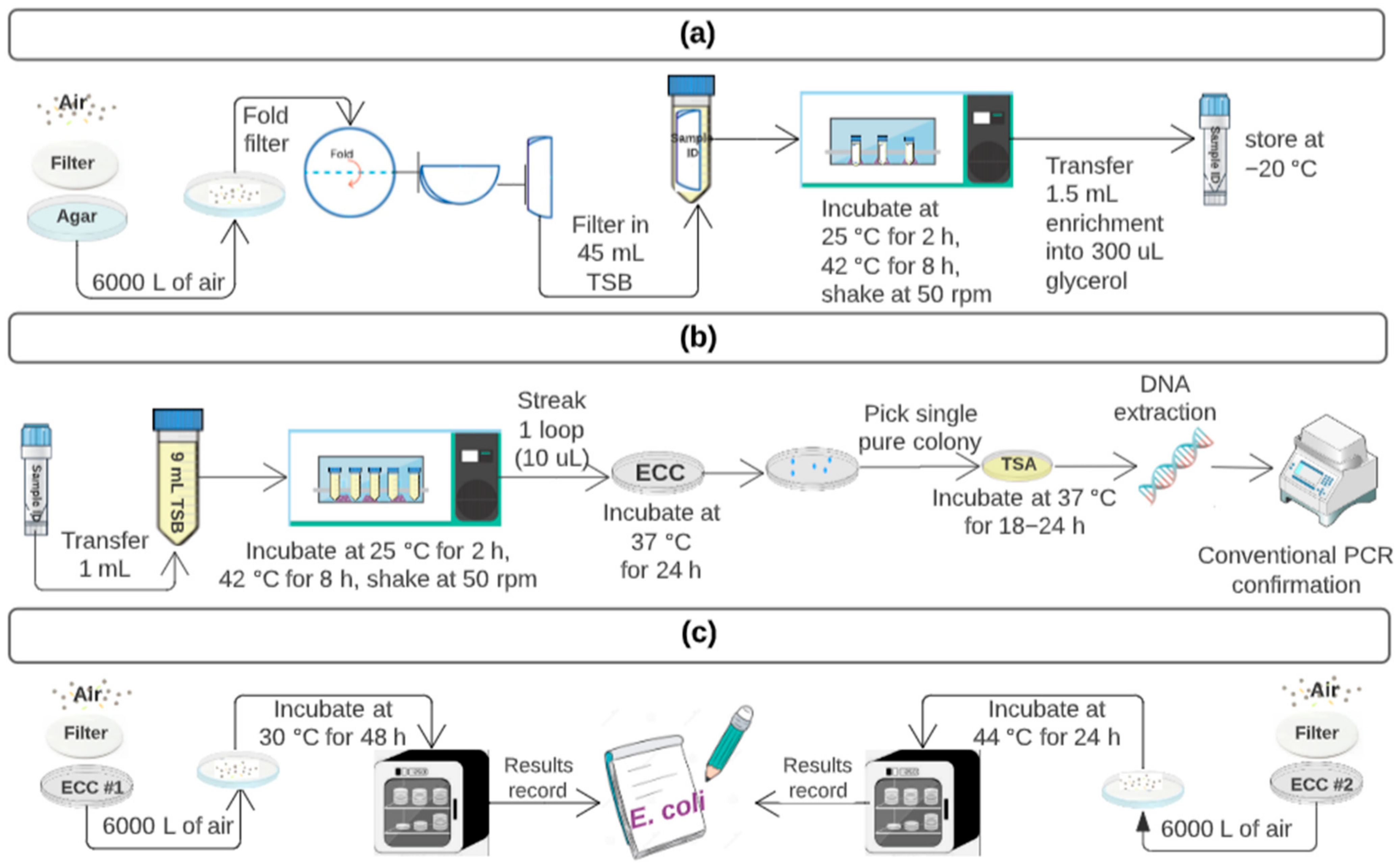 Microorganisms 11 00411 g003 Microorganisms 11 00411 g003