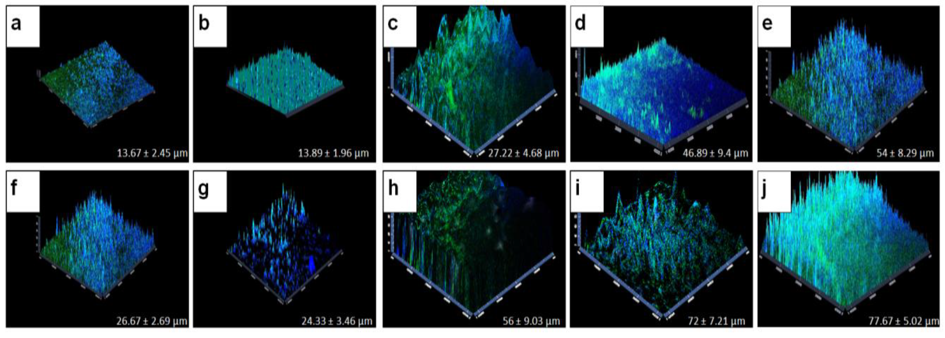 Microorganisms 11 00413 g003