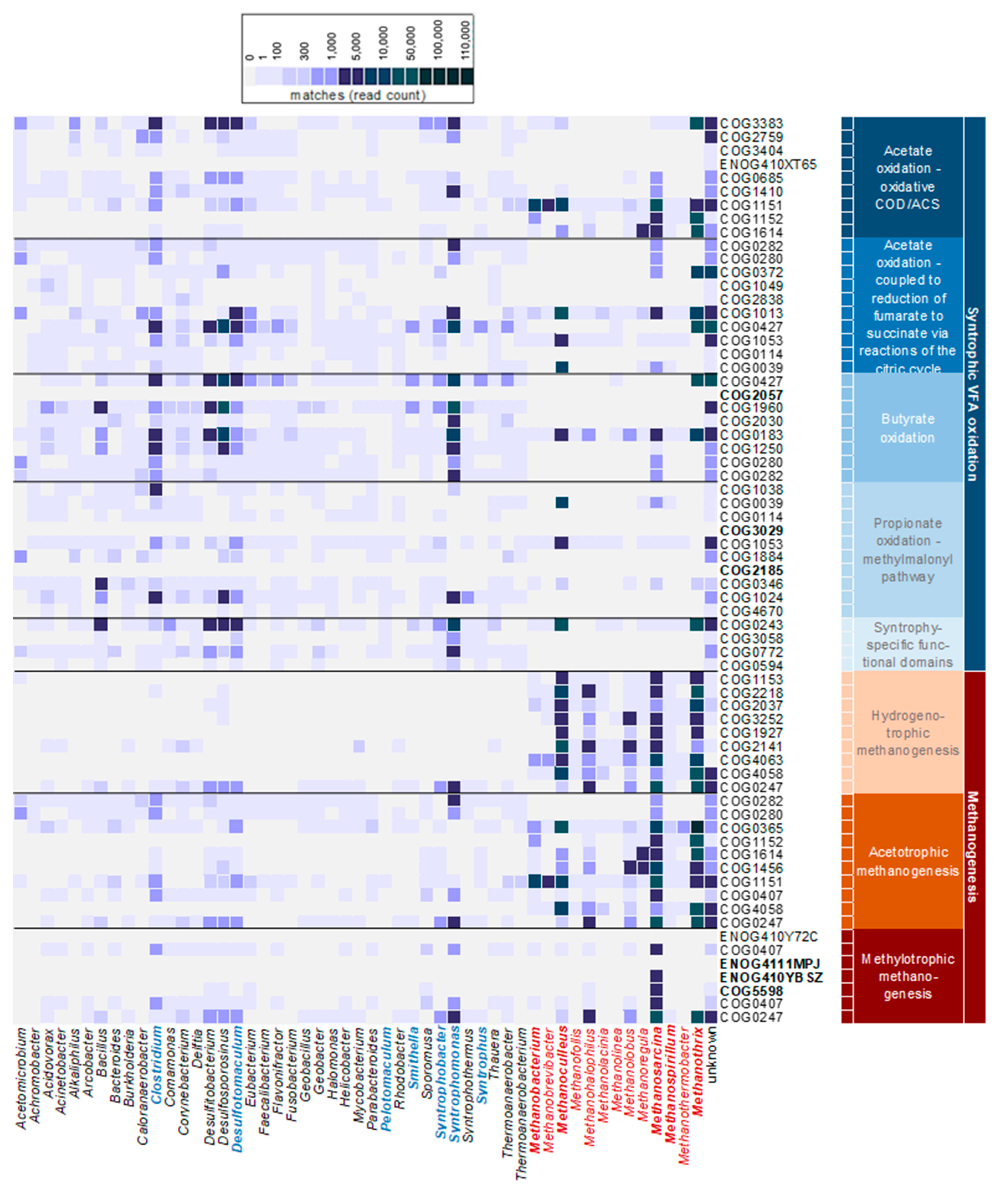 Microorganisms 11 00420 g002