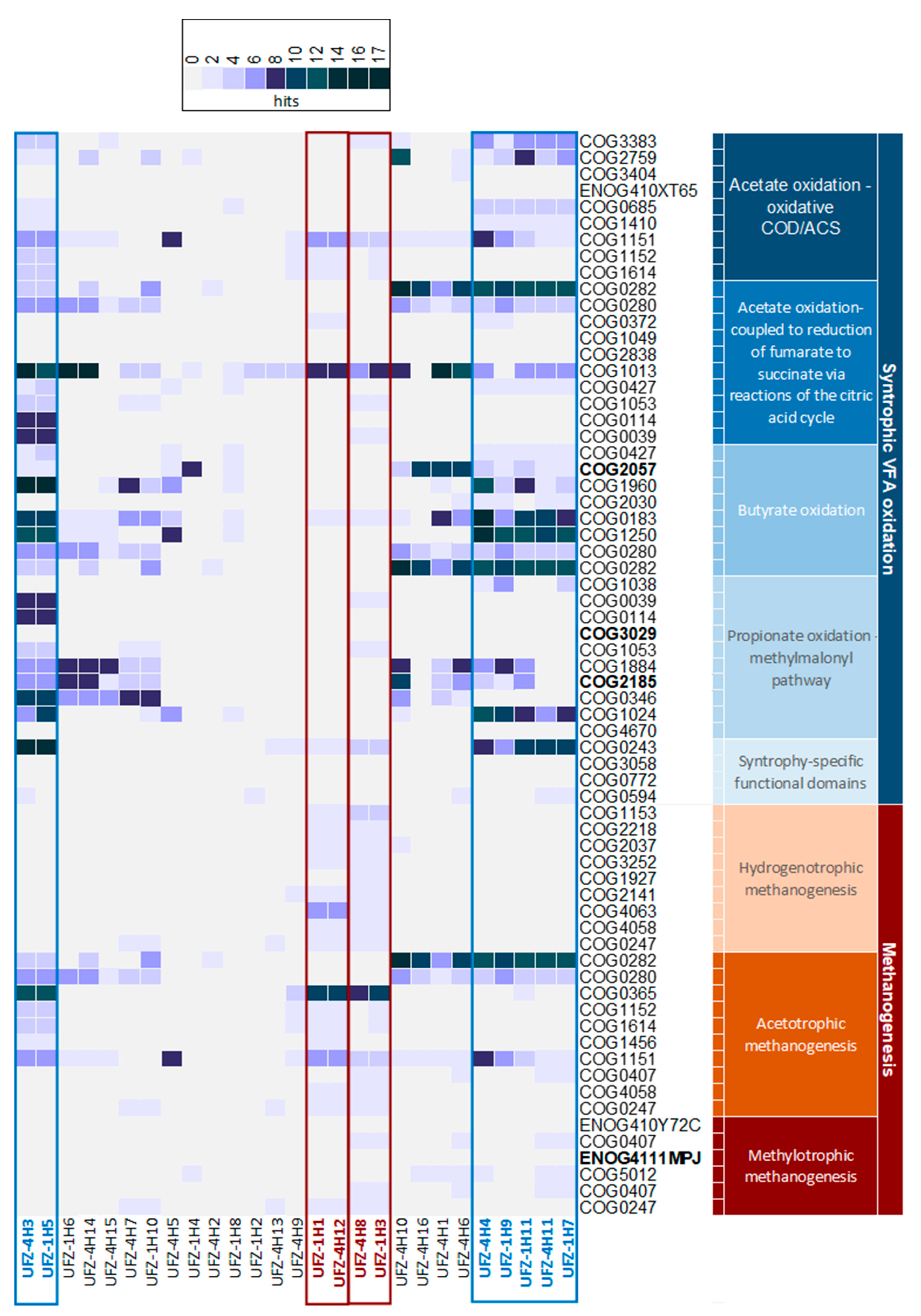 Microorganisms 11 00420 g003