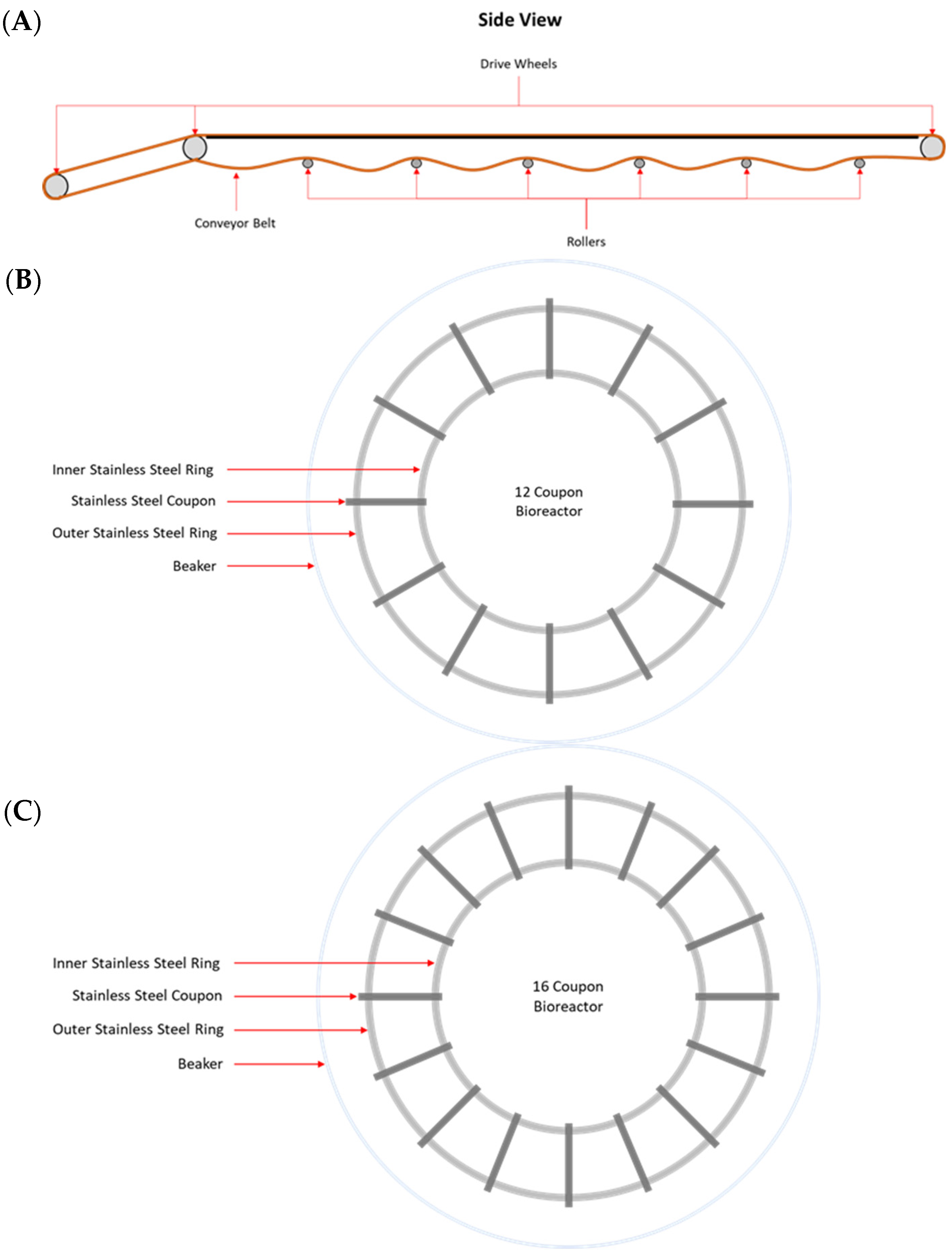 Microorganisms 11 00421 g001 Microorganisms 11 00421 g001
