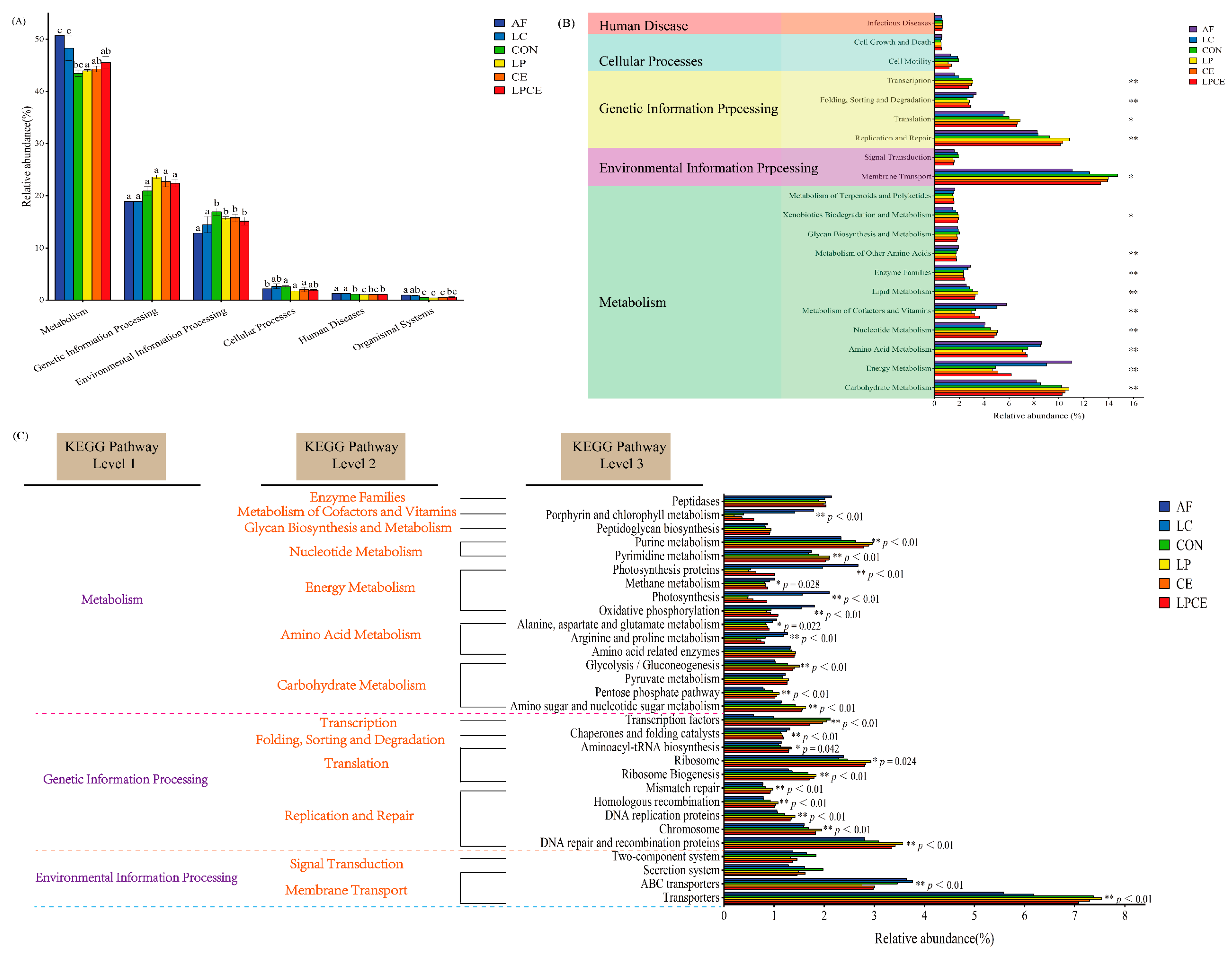 Microorganisms 11 00426 g005 Microorganisms 11 00426 g005