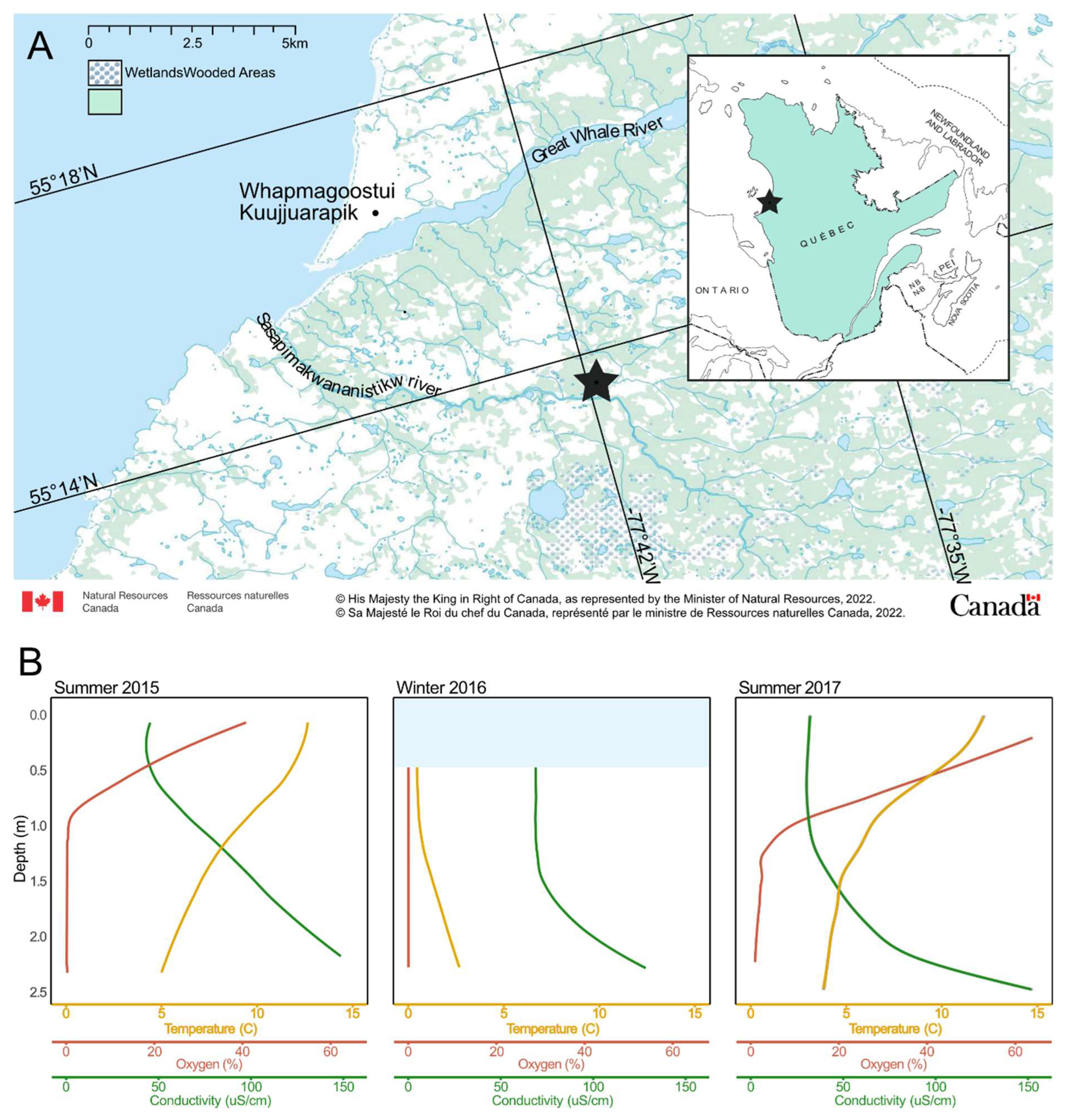 Microorganisms 11 00428 g001 Microorganisms 11 00428 g001