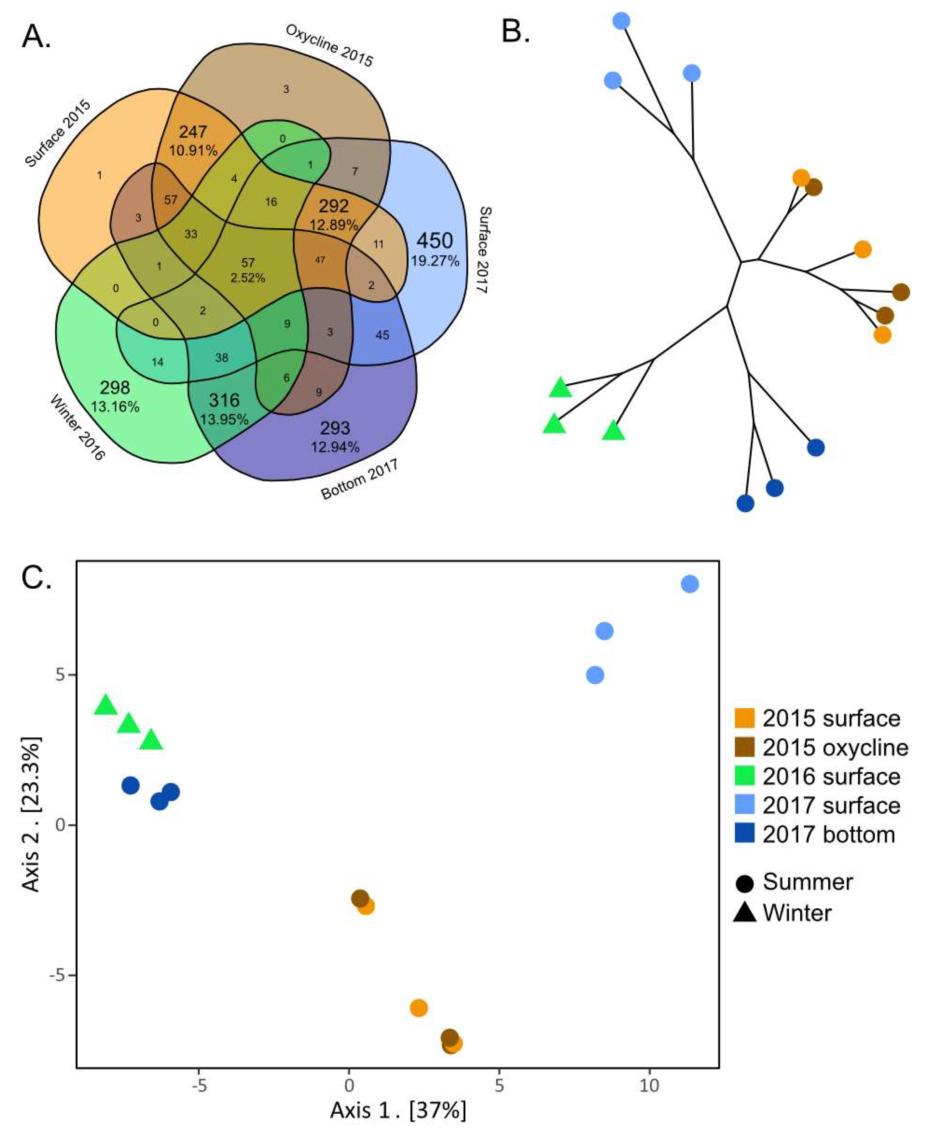 Microorganisms 11 00428 g004 Microorganisms 11 00428 g004