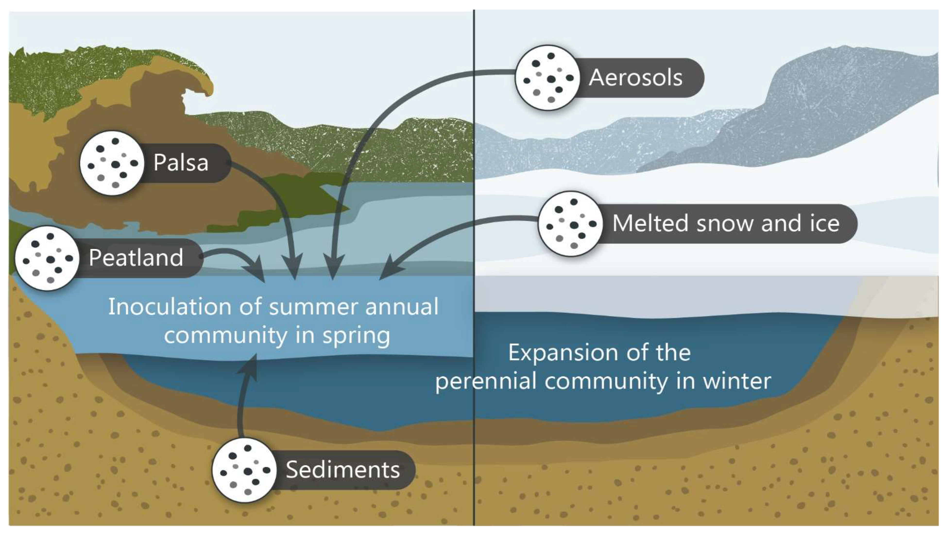 Microorganisms 11 00428 g005 Microorganisms 11 00428 g005