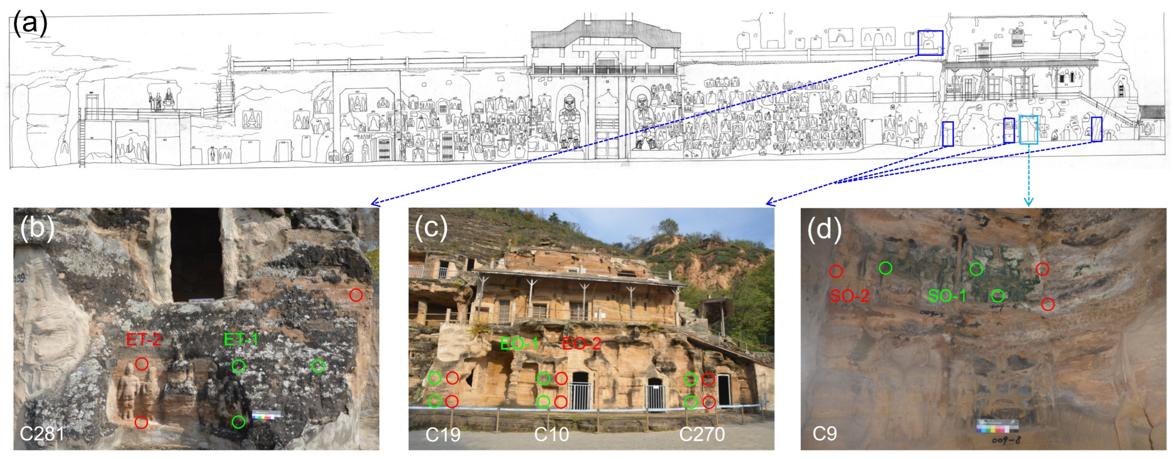 Microorganisms 11 00429 g001 Microorganisms 11 00429 g001