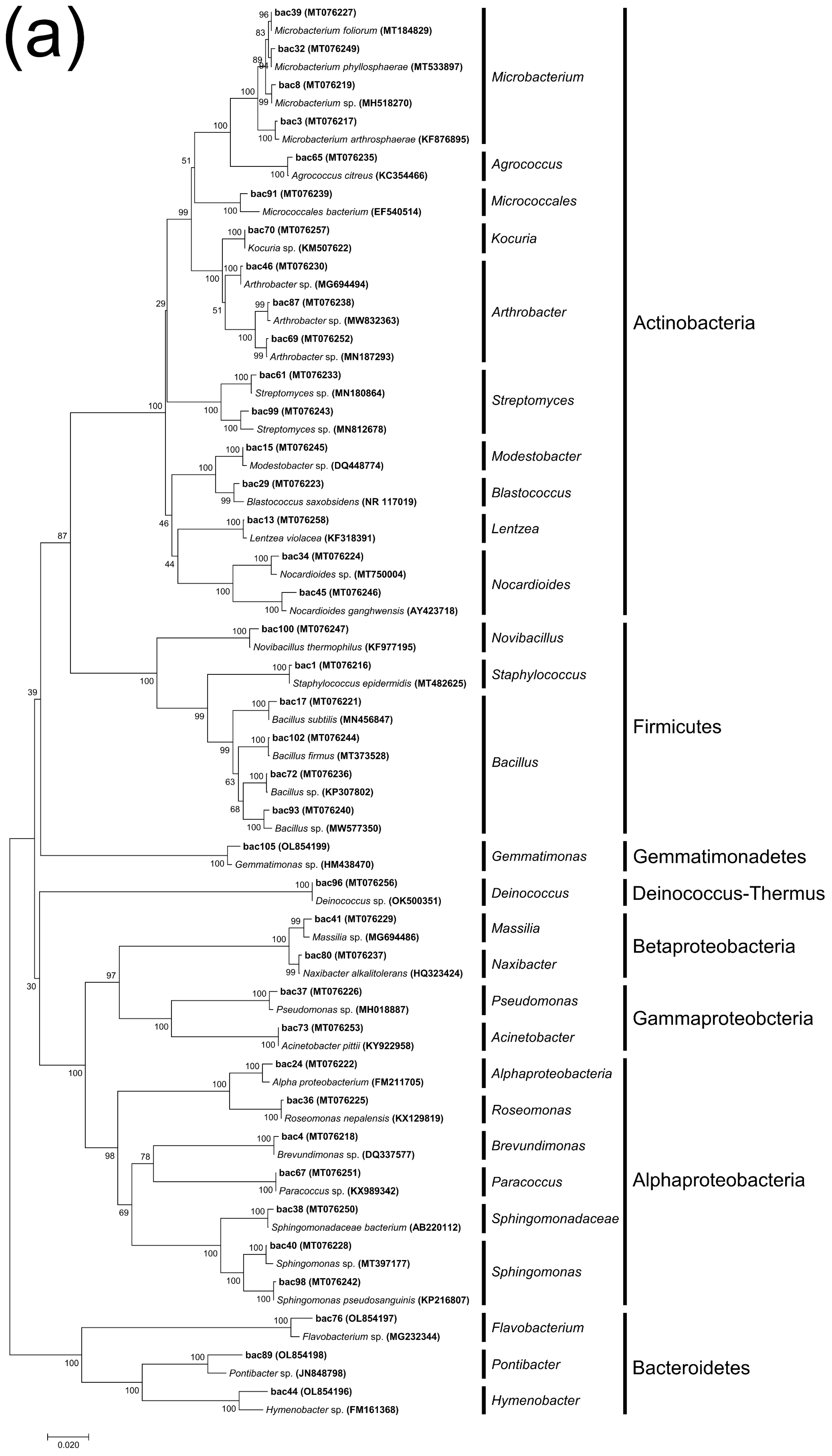 Microorganisms 11 00429 g004a Microorganisms 11 00429 g004a
