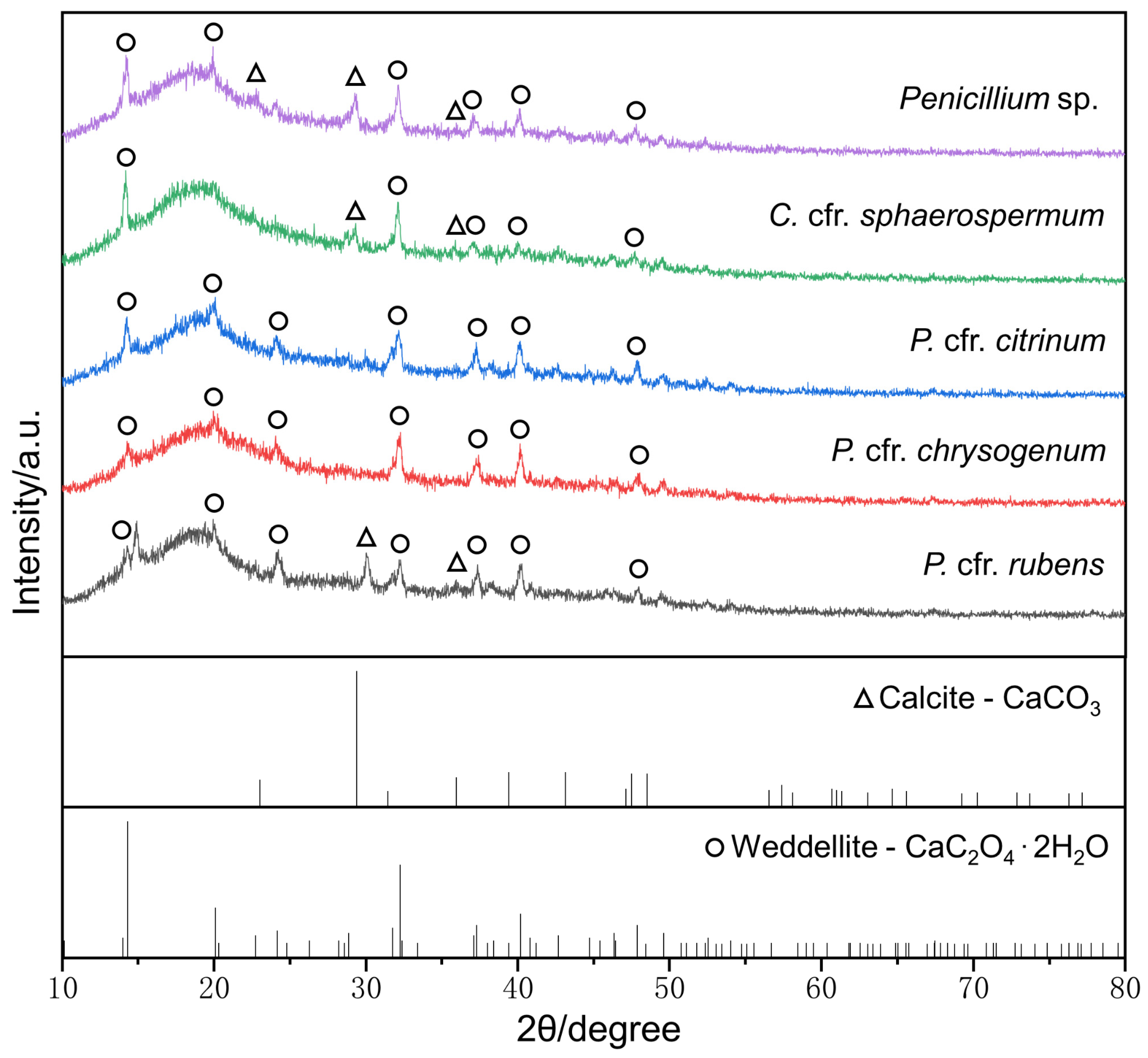 Microorganisms 11 00429 g010 Microorganisms 11 00429 g010