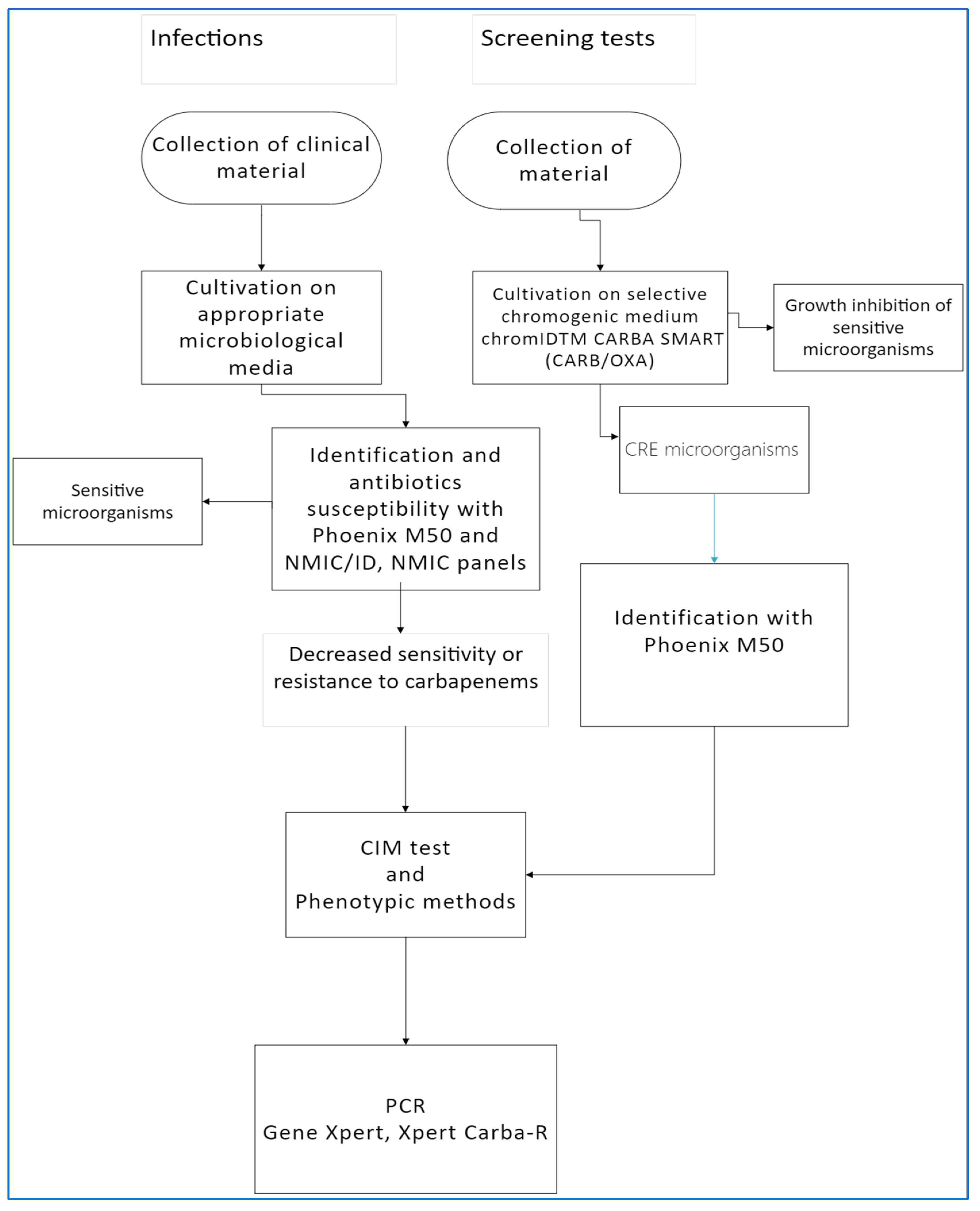 Microorganisms 11 00437 g001