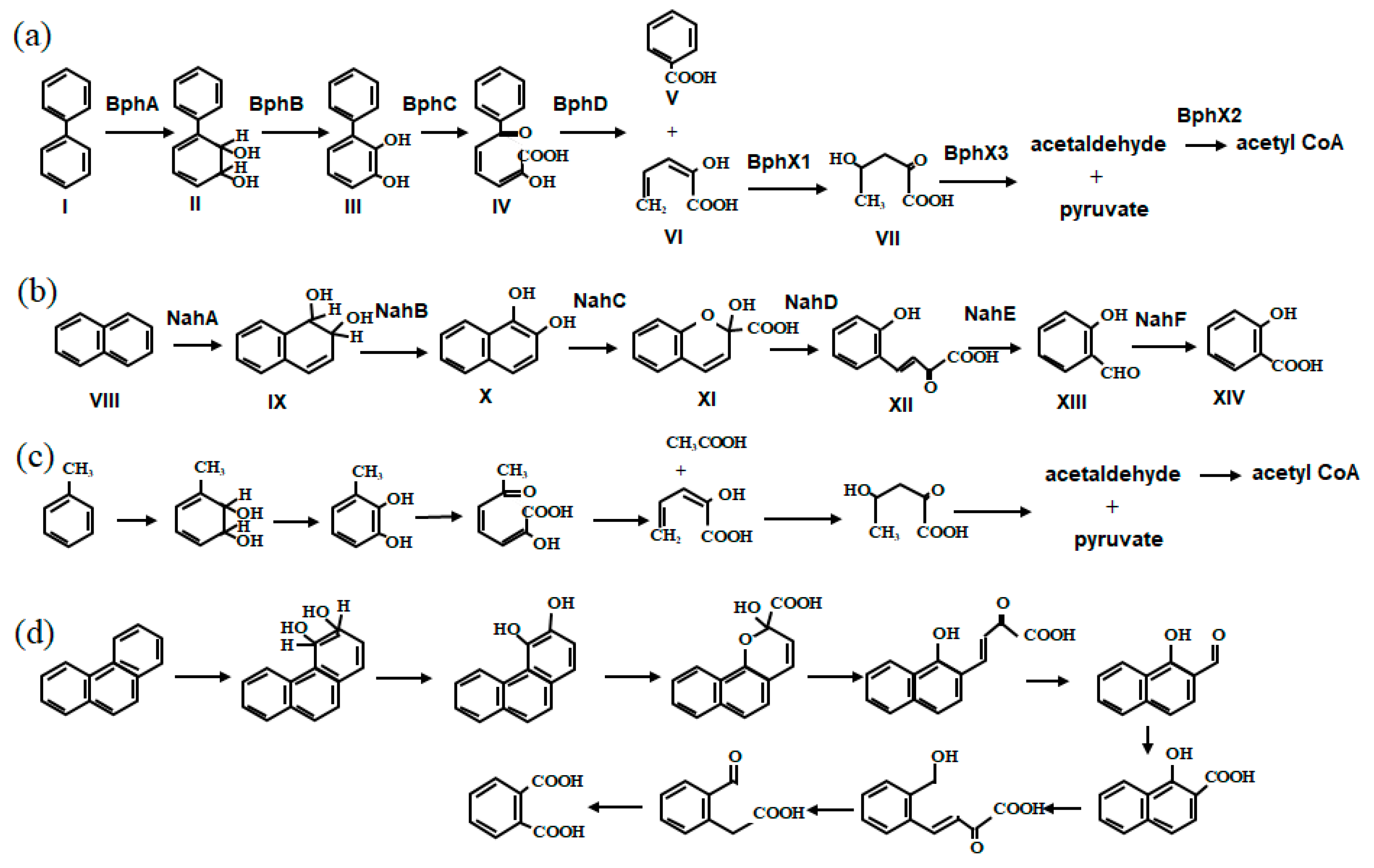 Microorganisms 11 00438 g001 Microorganisms 11 00438 g001