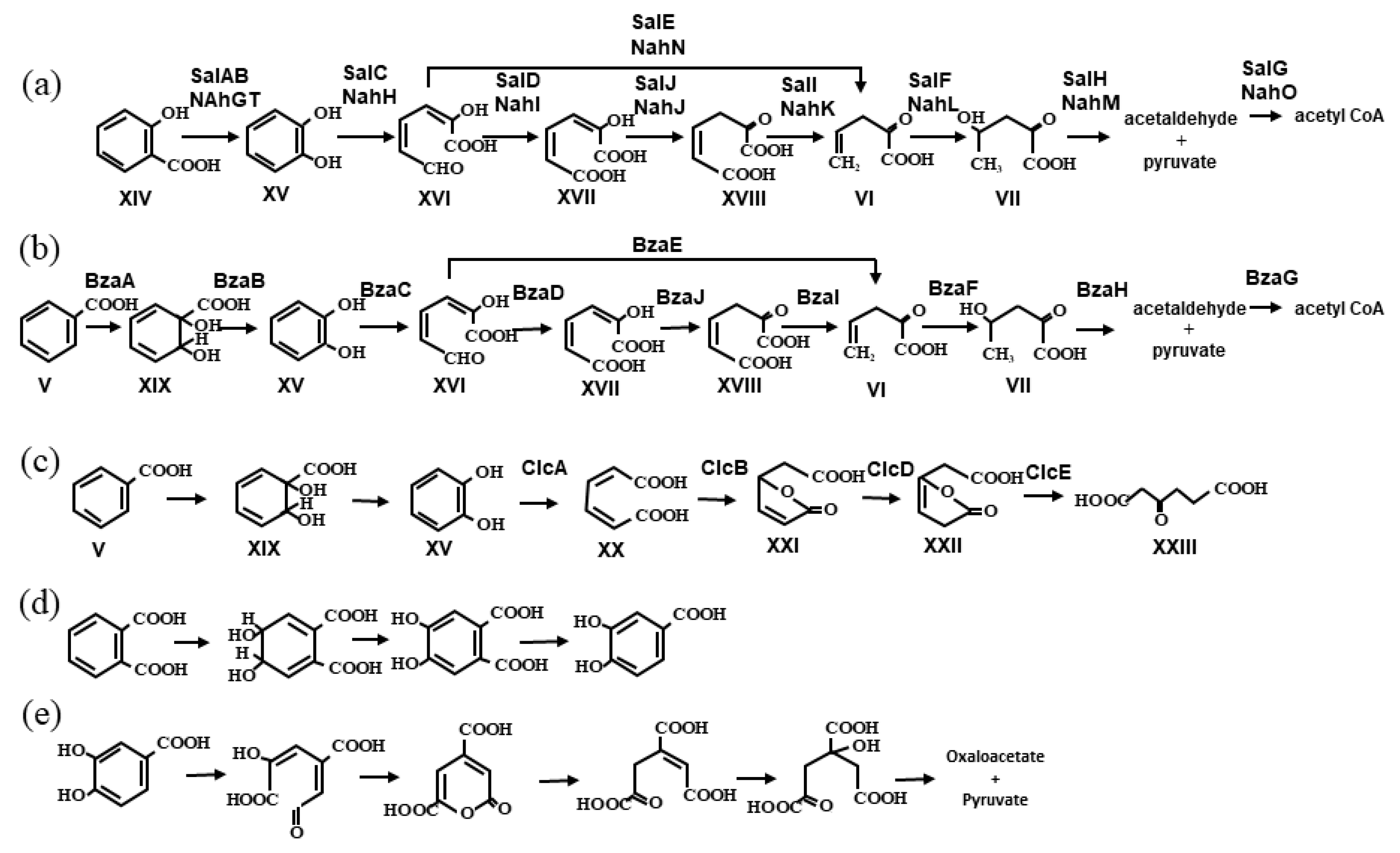 Microorganisms 11 00438 g002 Microorganisms 11 00438 g002