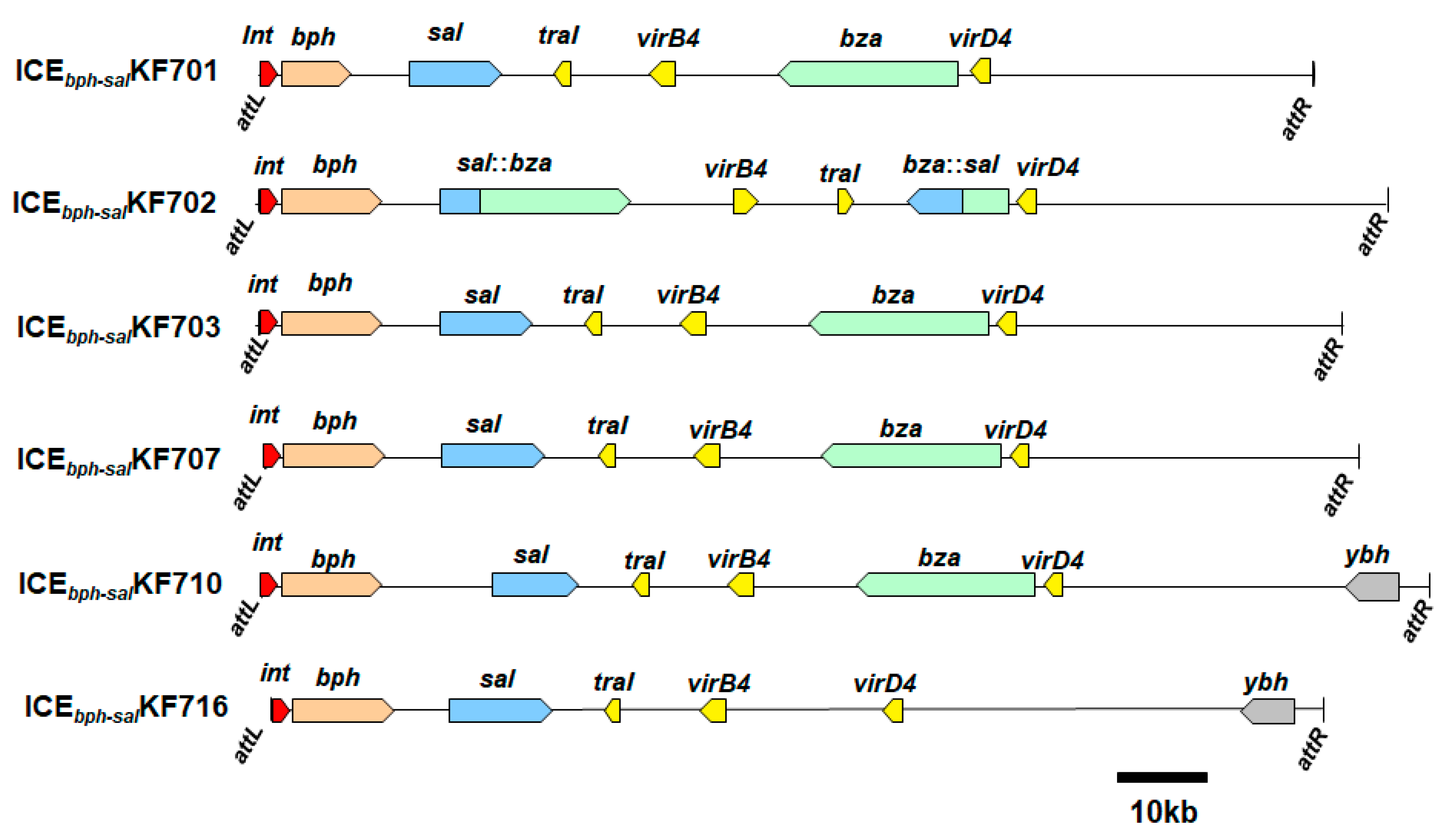Microorganisms 11 00438 g003 Microorganisms 11 00438 g003