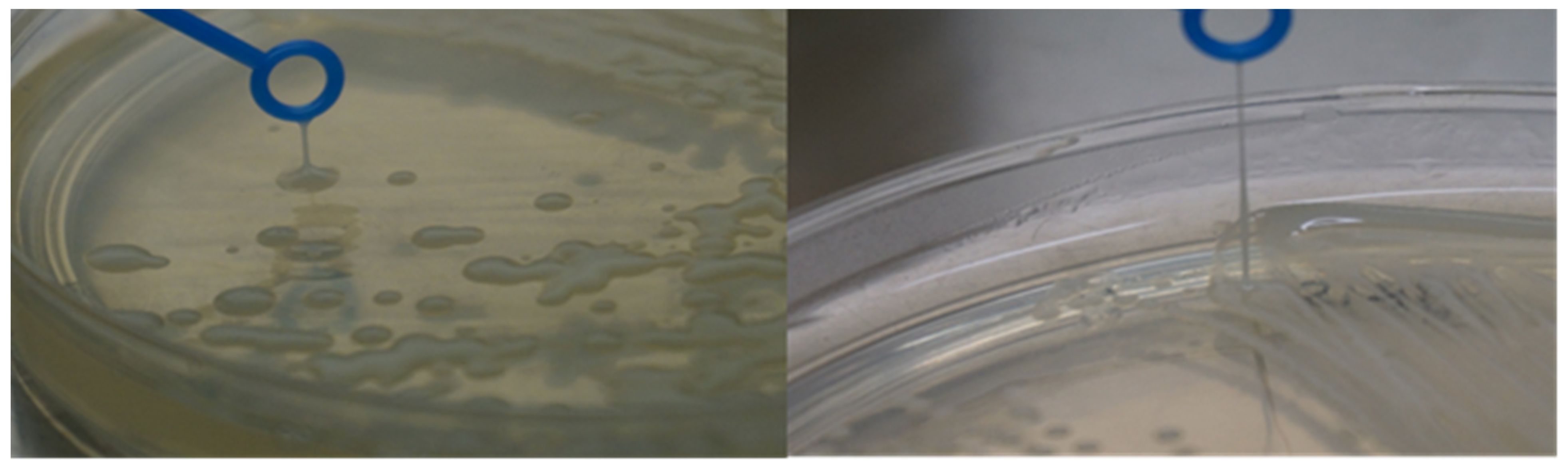 Microorganisms 11 00443 g008