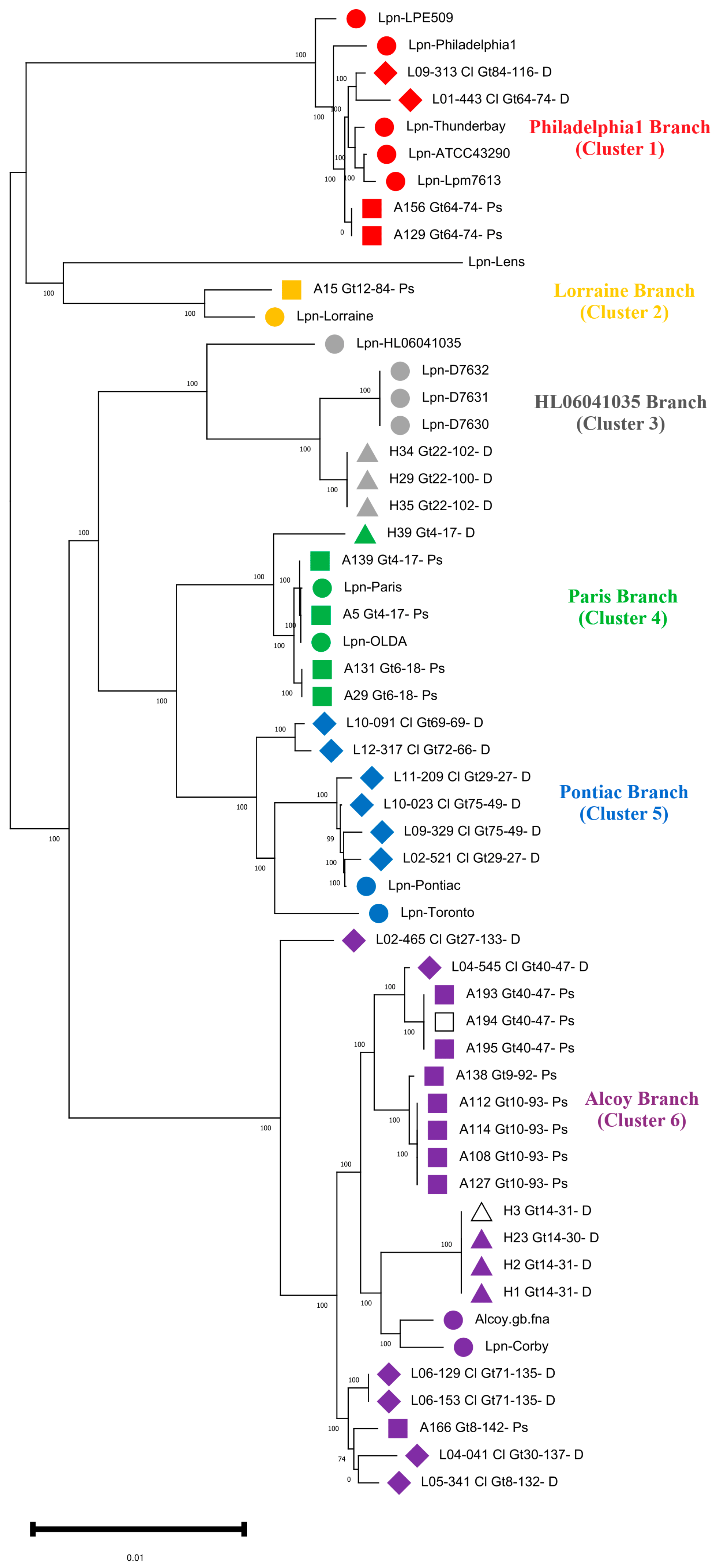 Microorganisms 11 00449 g001 Microorganisms 11 00449 g001