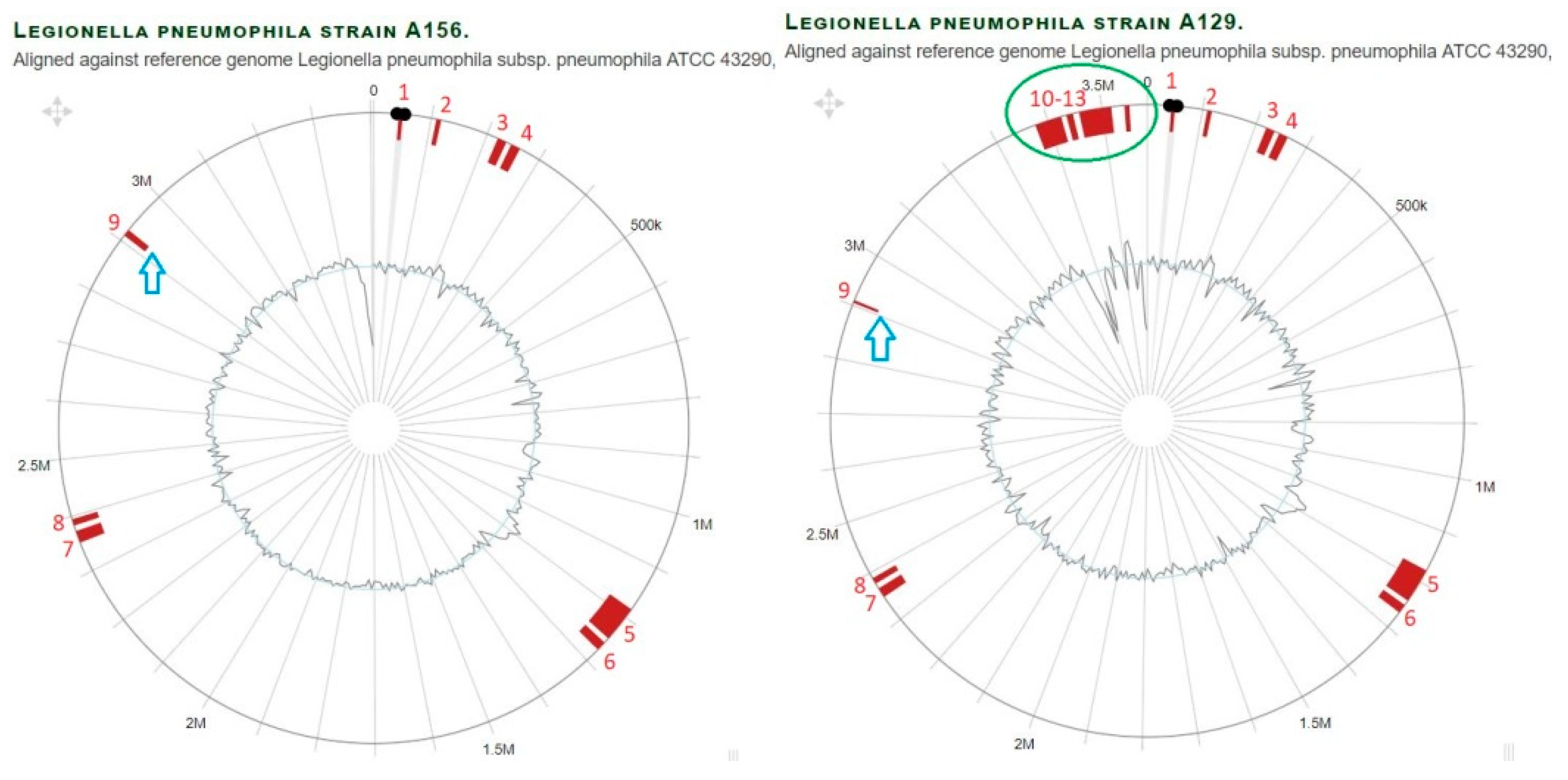 Microorganisms 11 00449 g004 Microorganisms 11 00449 g004