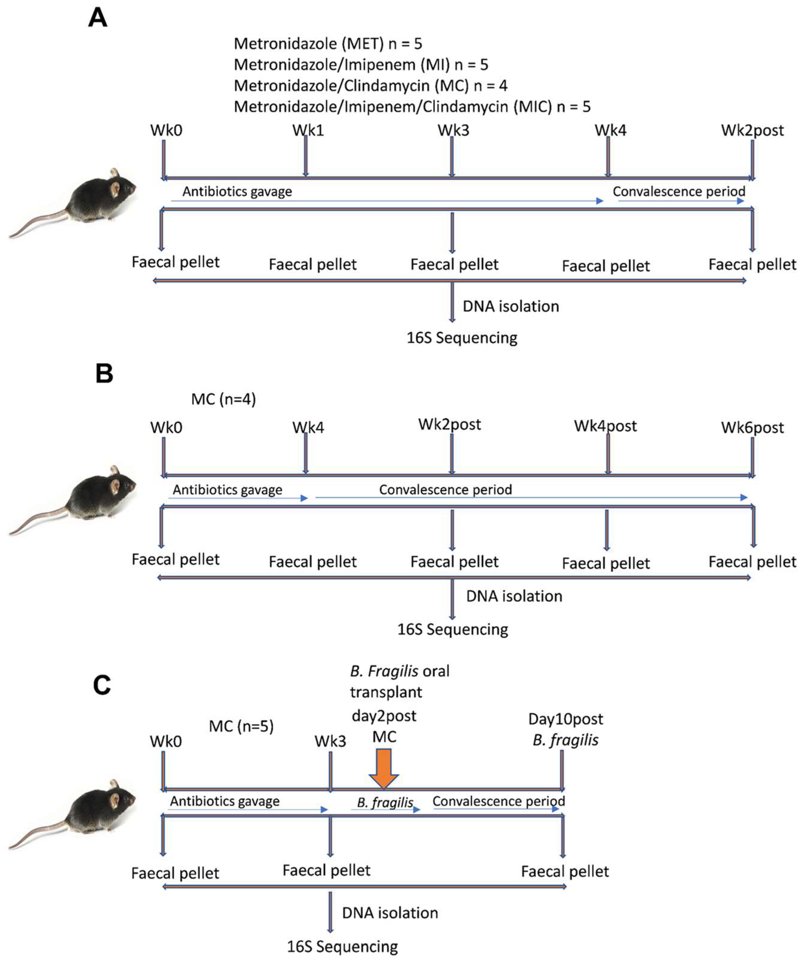Microorganisms 11 00451 g001 550