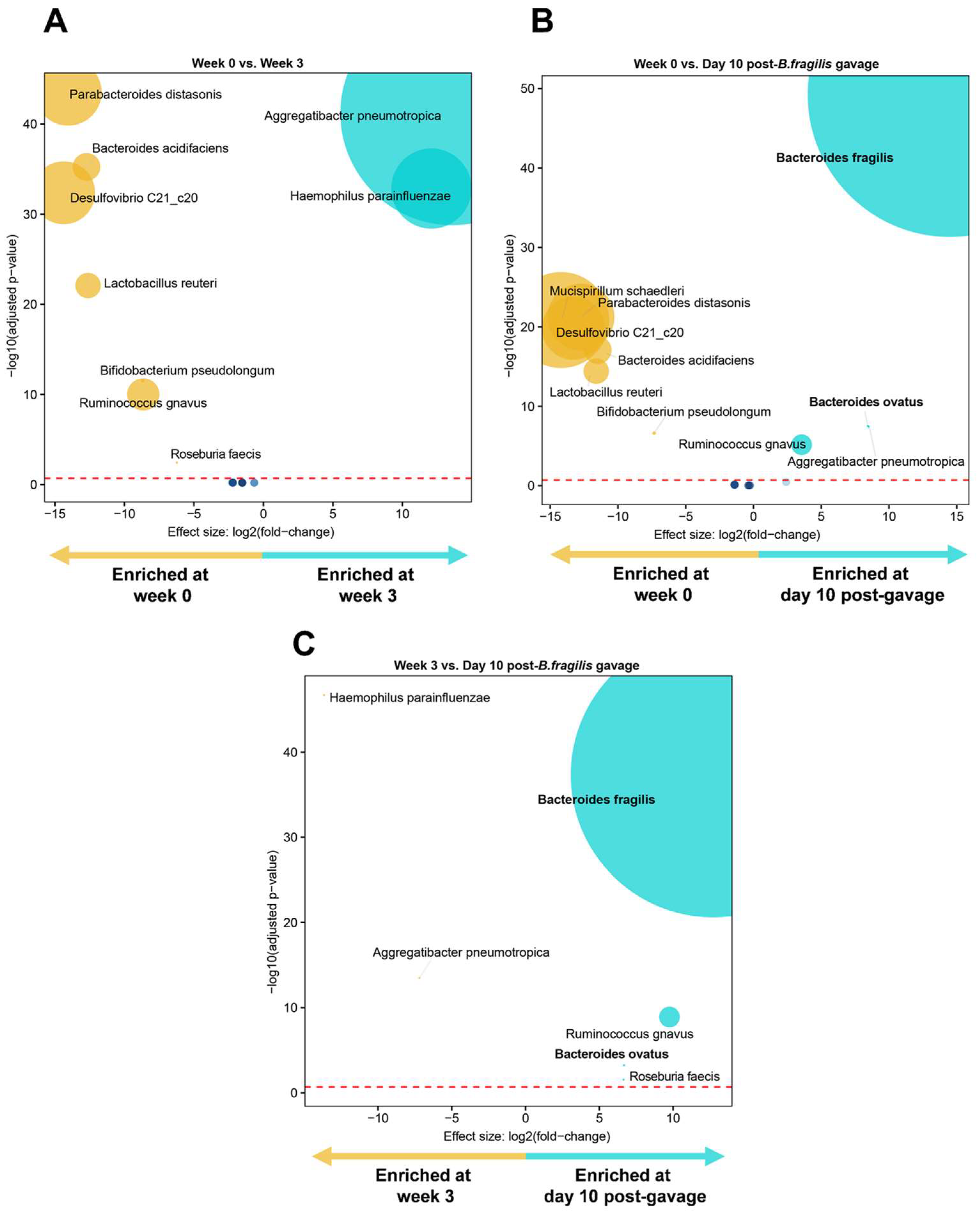 Microorganisms 11 00451 g008 550