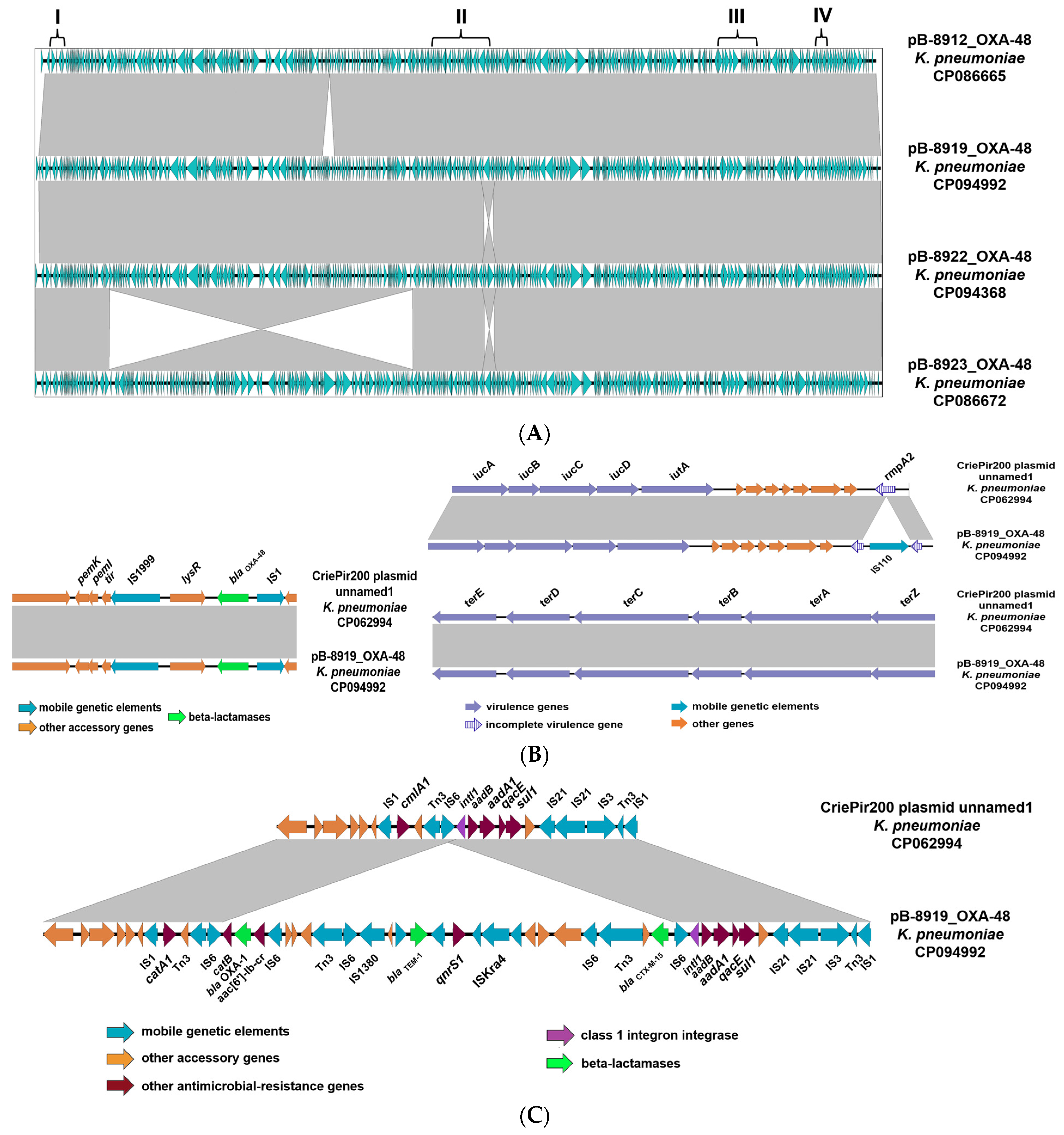 Microorganisms 11 00459 g002 550