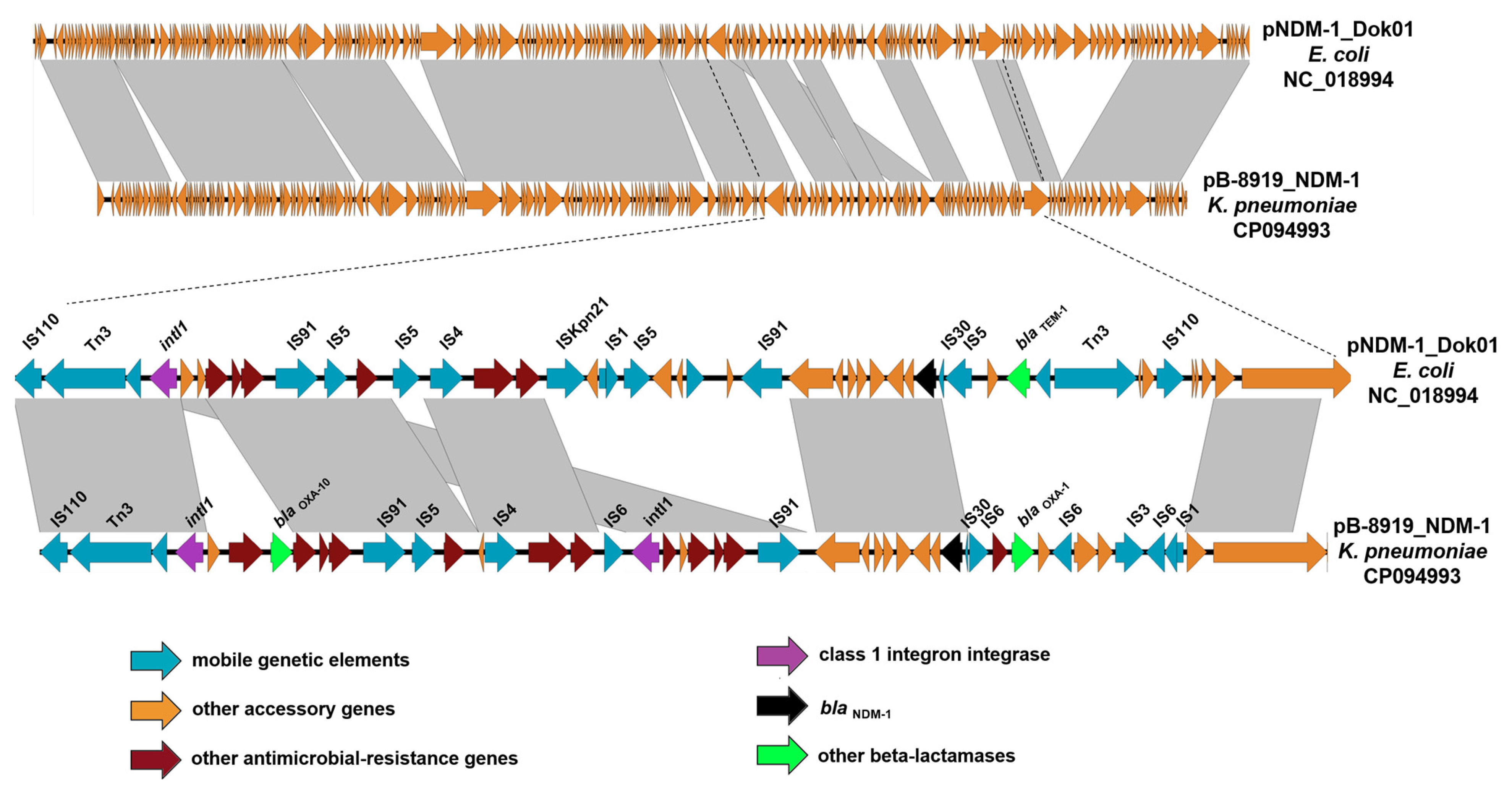 Microorganisms 11 00459 g003 550