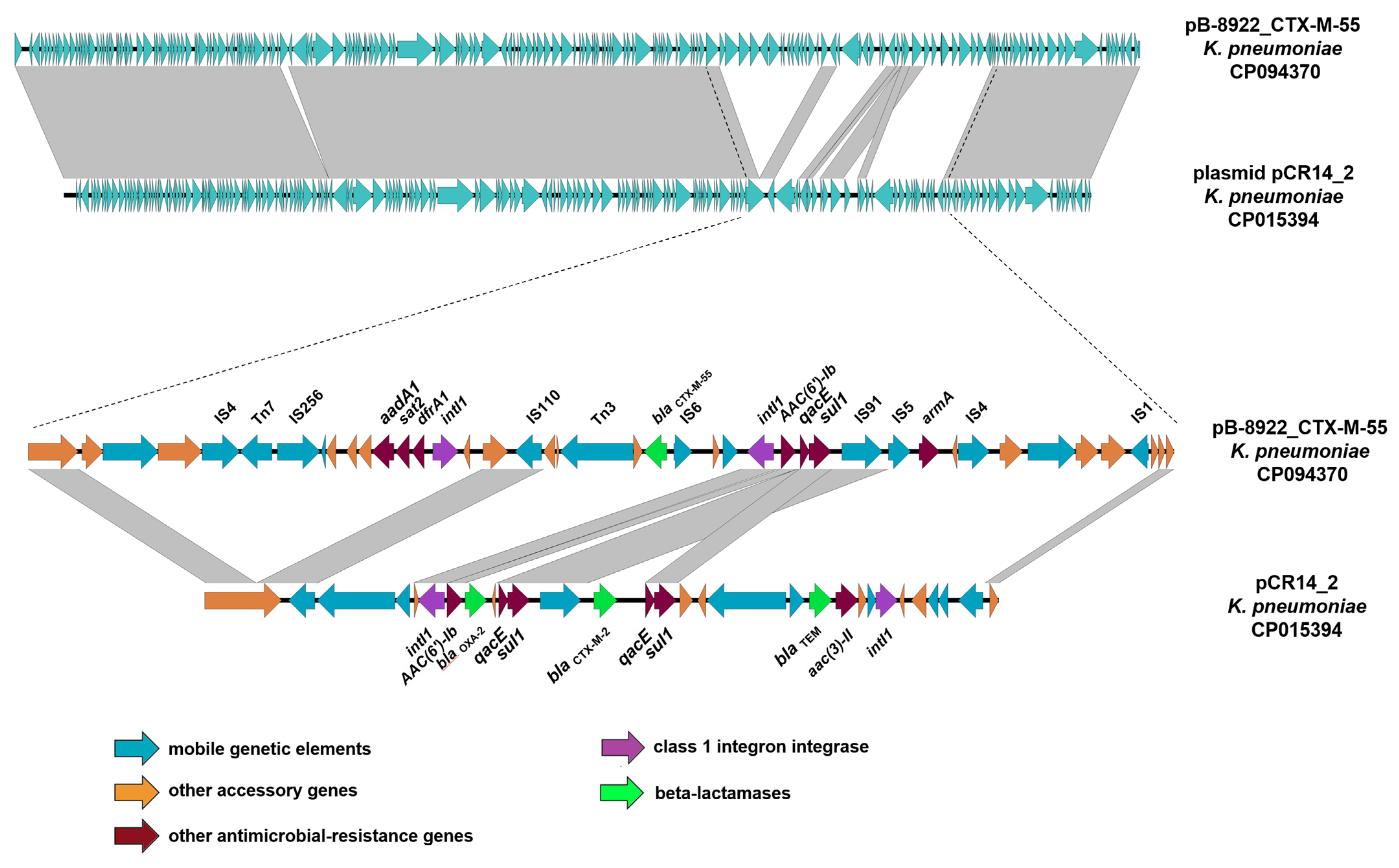 Microorganisms 11 00459 g005 550