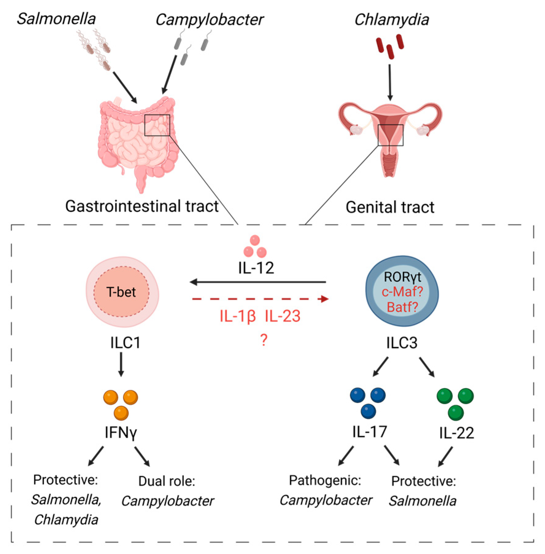 Microorganisms 11 00461 g002 550