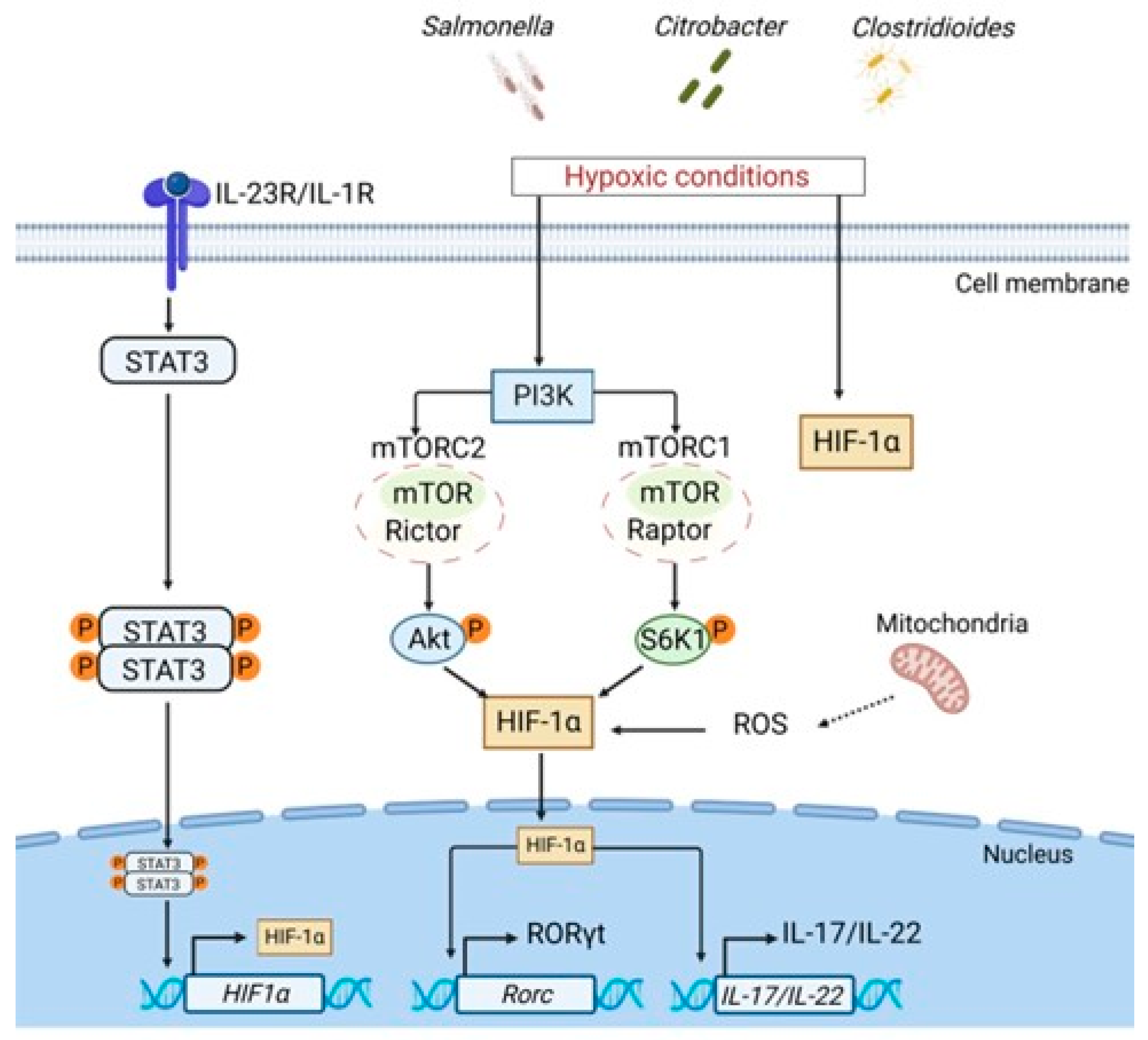 Microorganisms 11 00461 g003 550