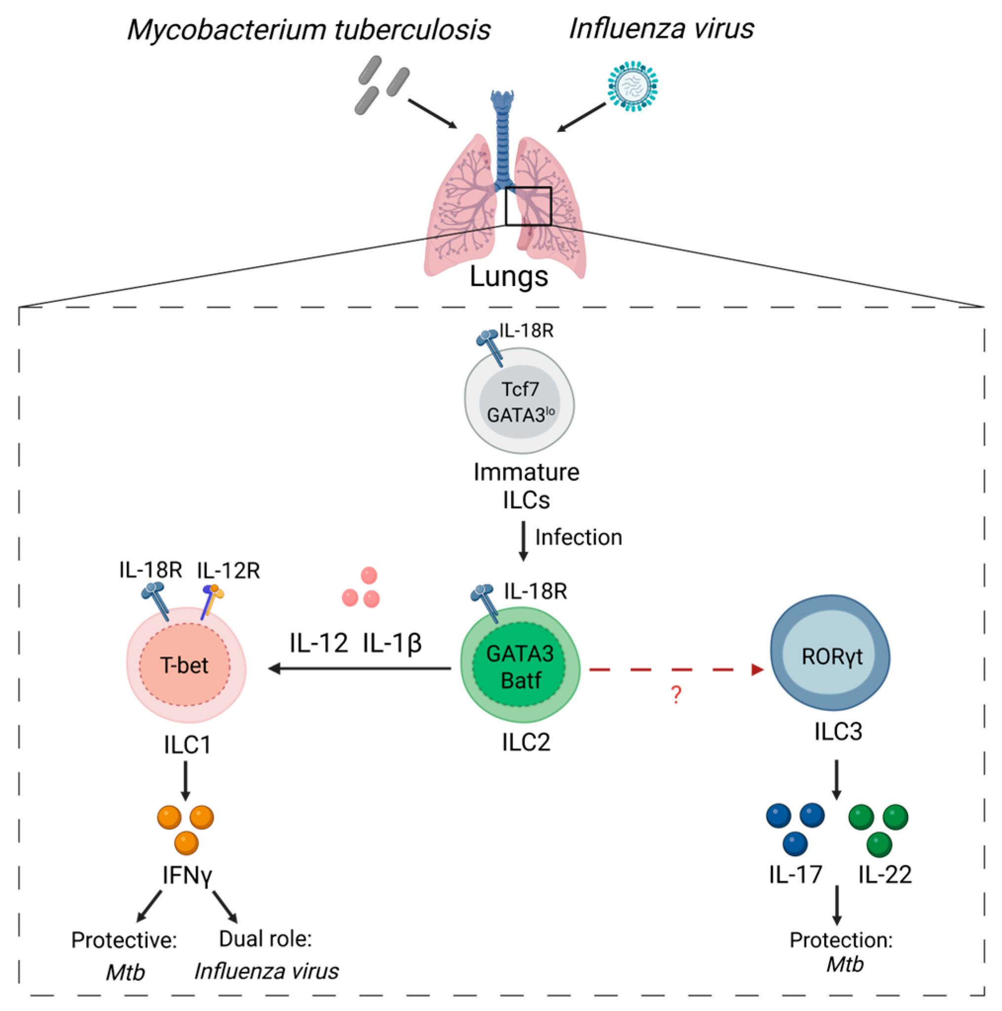 Microorganisms 11 00461 g005 550