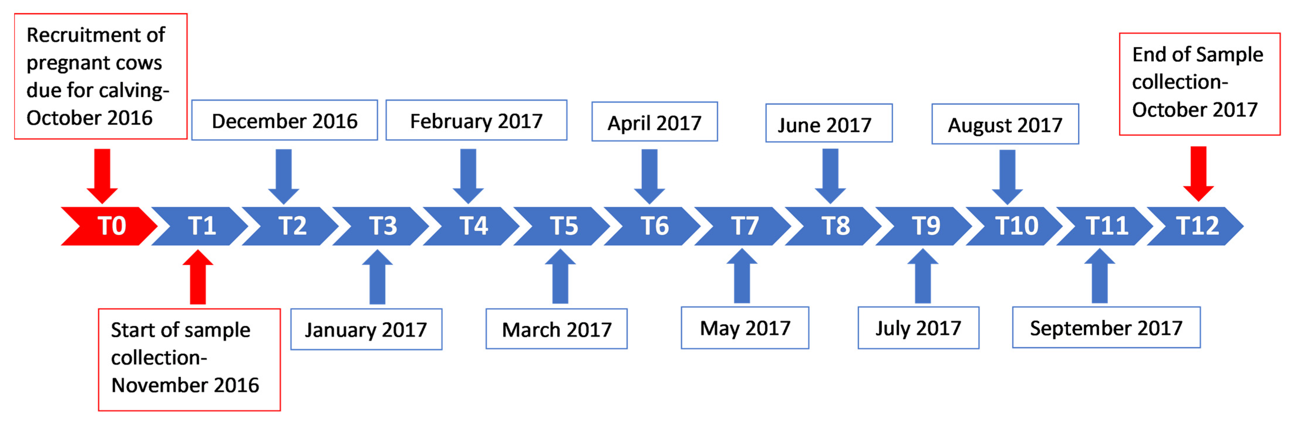 Microorganisms 11 00465 g002 Microorganisms 11 00465 g002