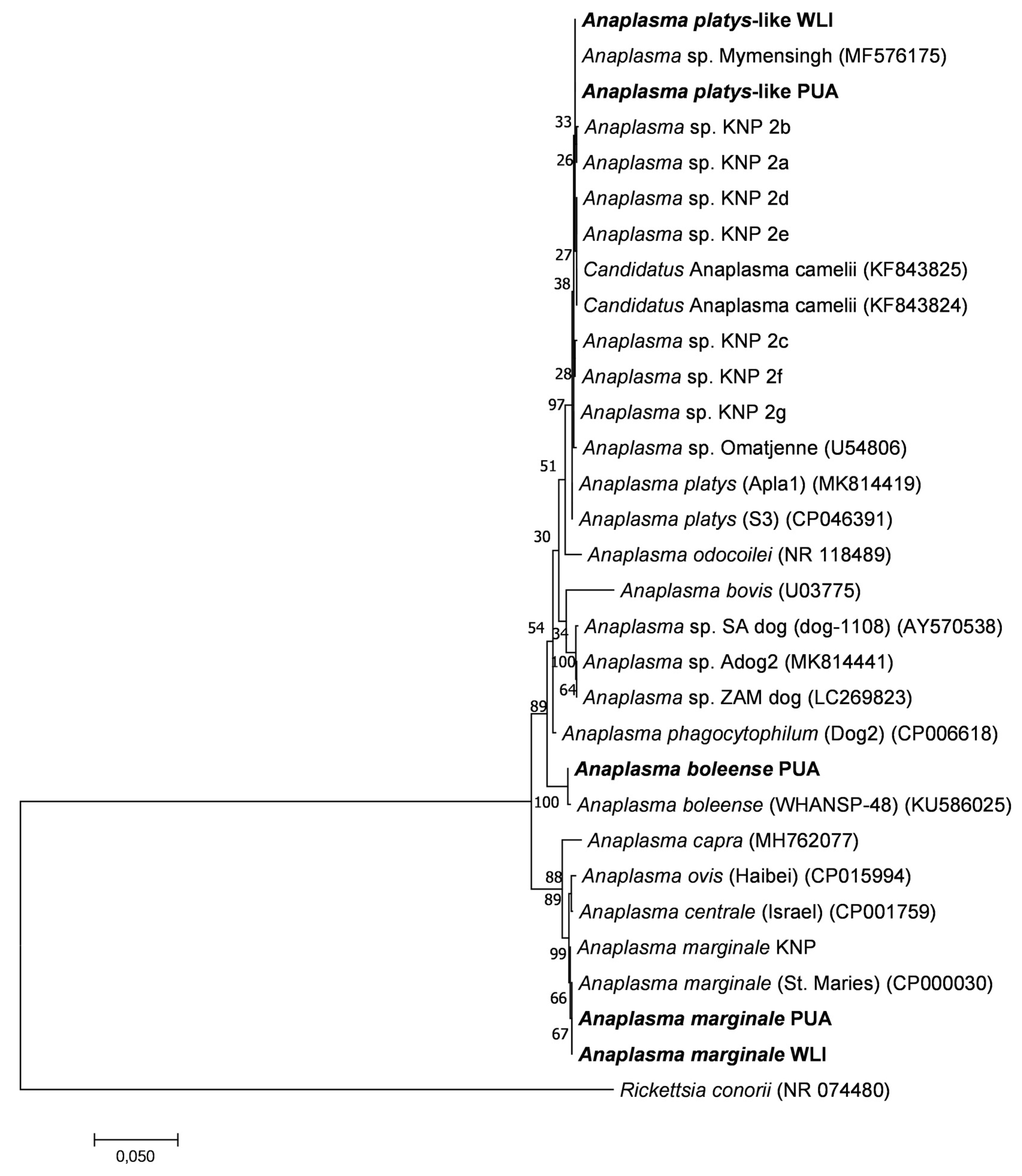 Microorganisms 11 00465 g005 Microorganisms 11 00465 g005
