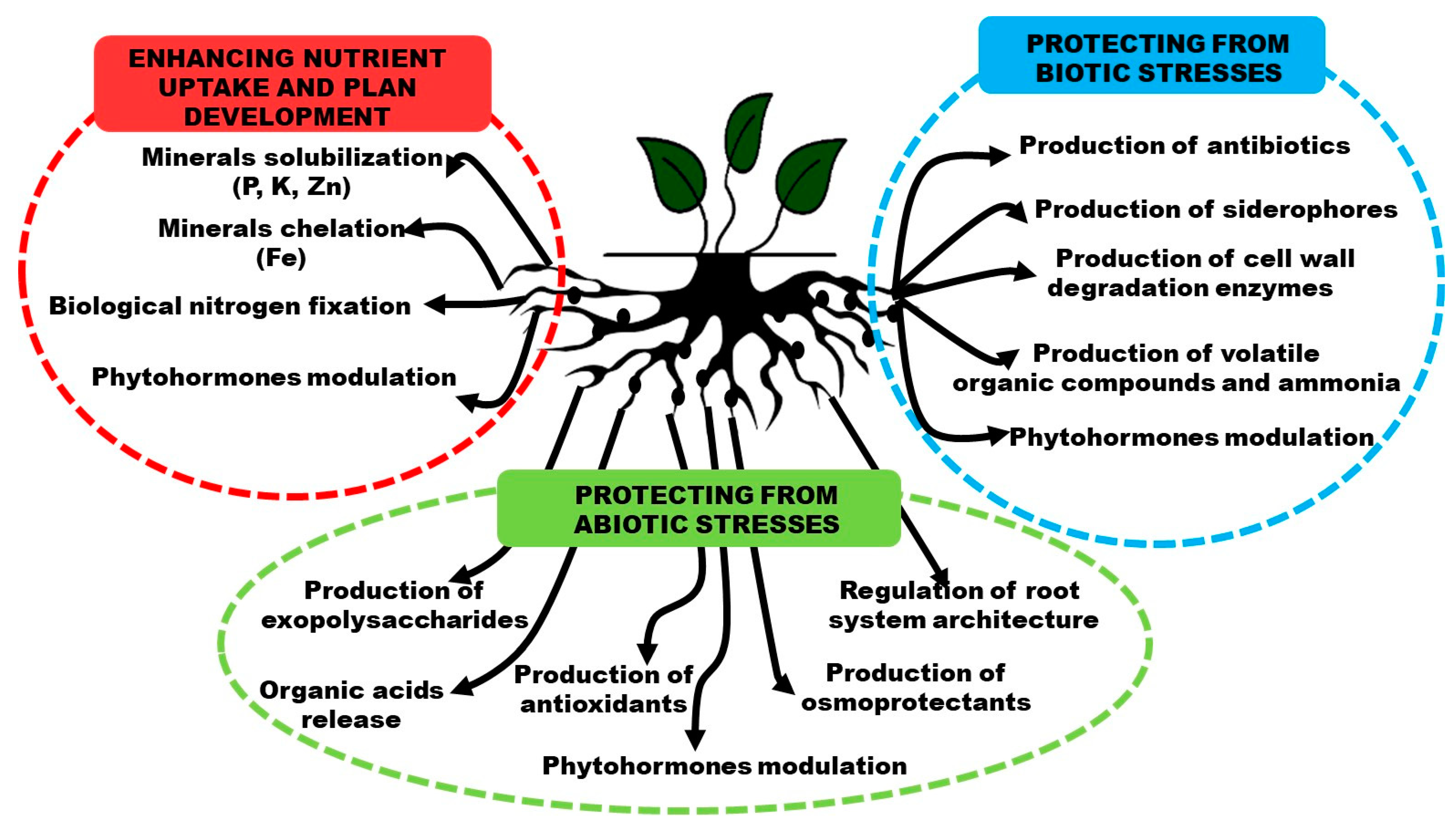 Microorganisms 11 00467 g001 Microorganisms 11 00467 g001