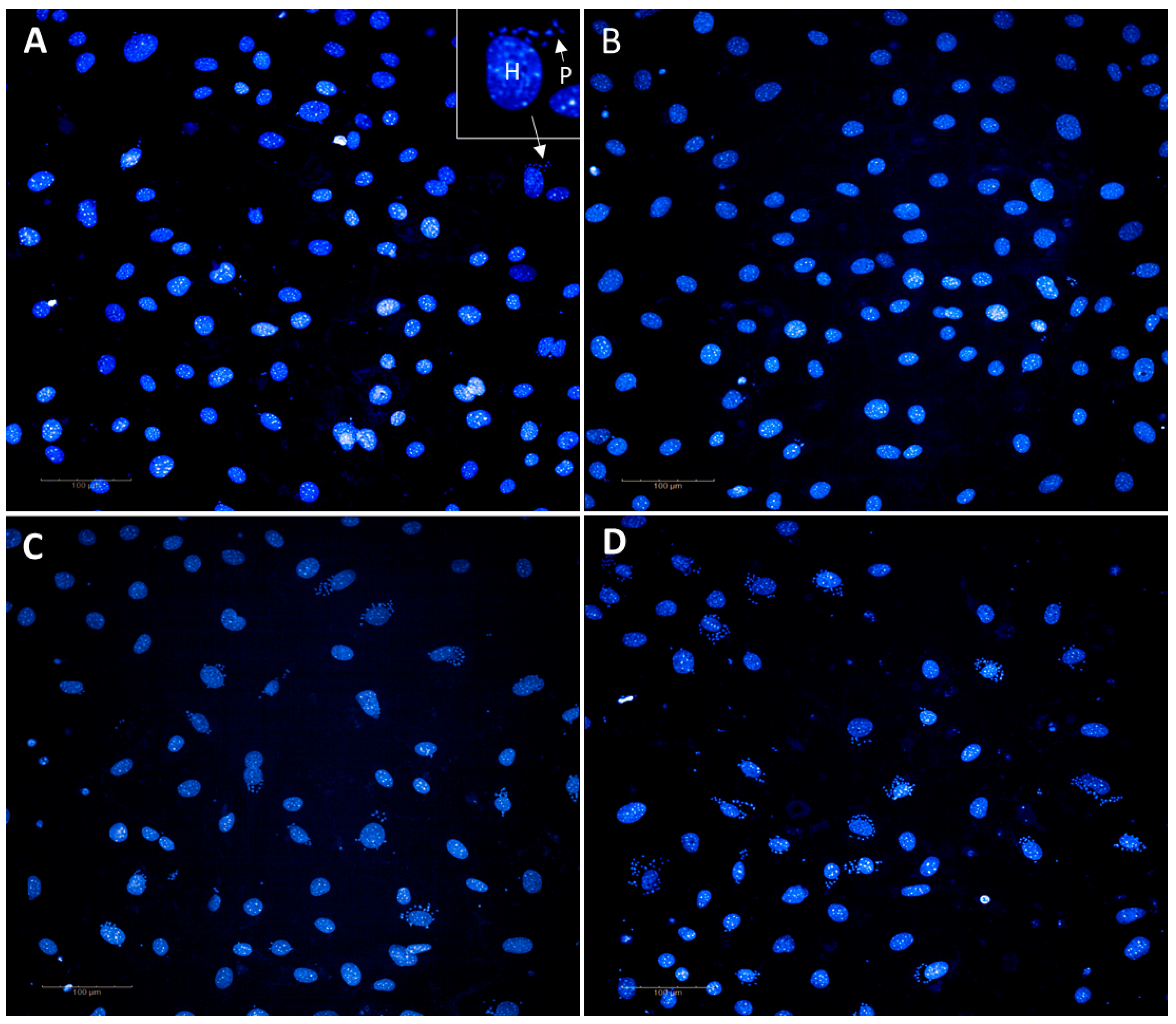 Microorganisms 11 00476 g003 Microorganisms 11 00476 g003