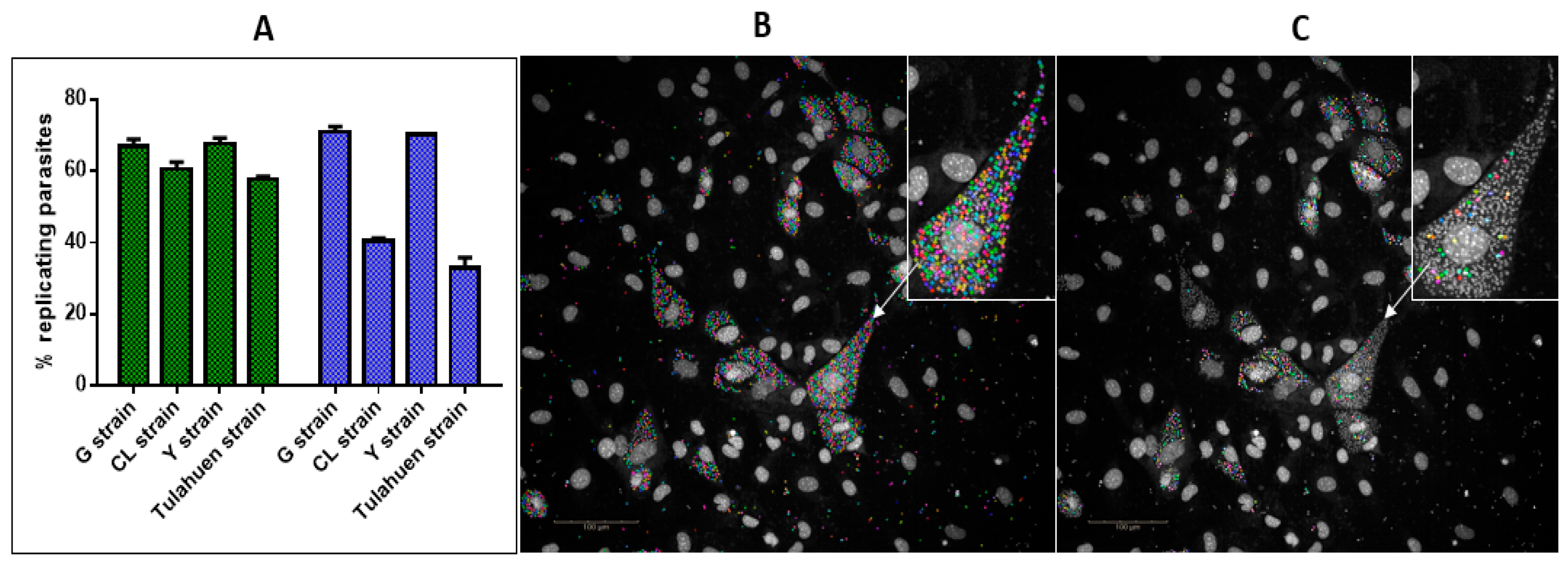 Microorganisms 11 00476 g004 Microorganisms 11 00476 g004