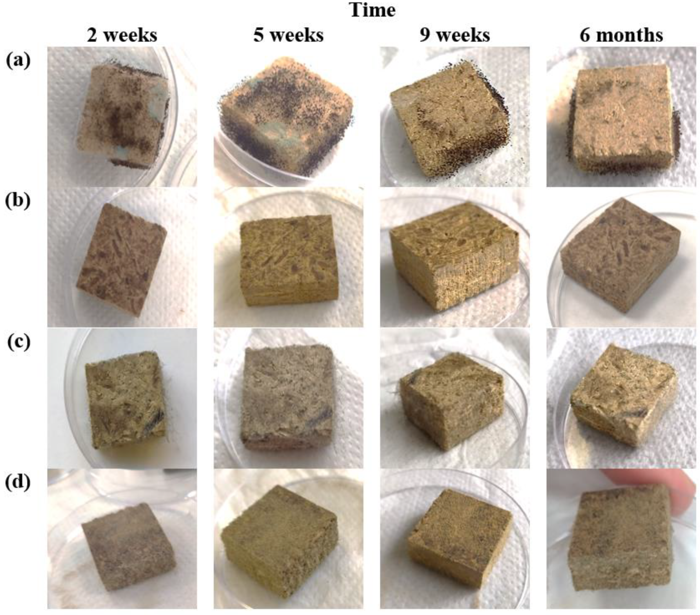 Microorganisms 11 00477 g003