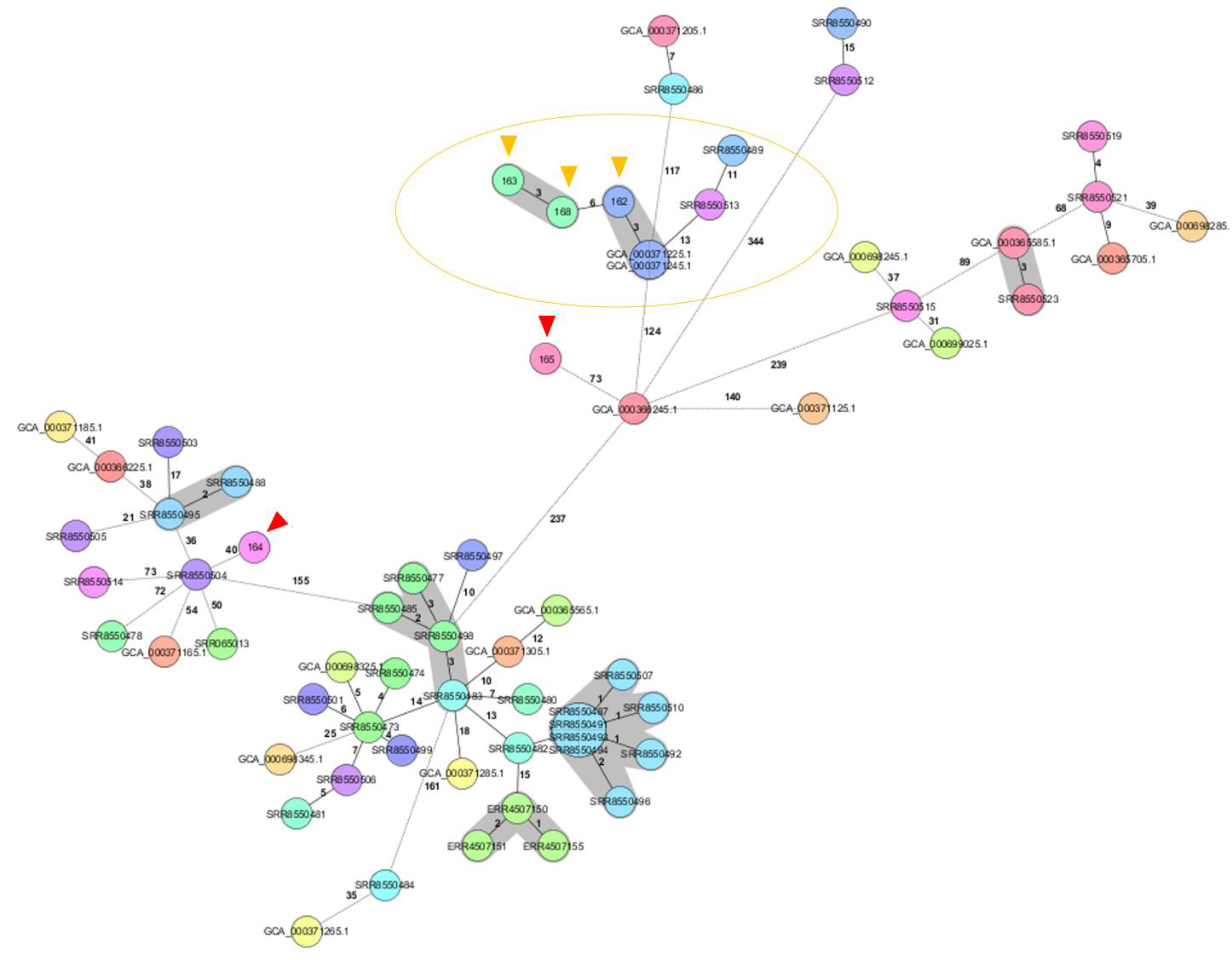 Microorganisms 11 00478 g004