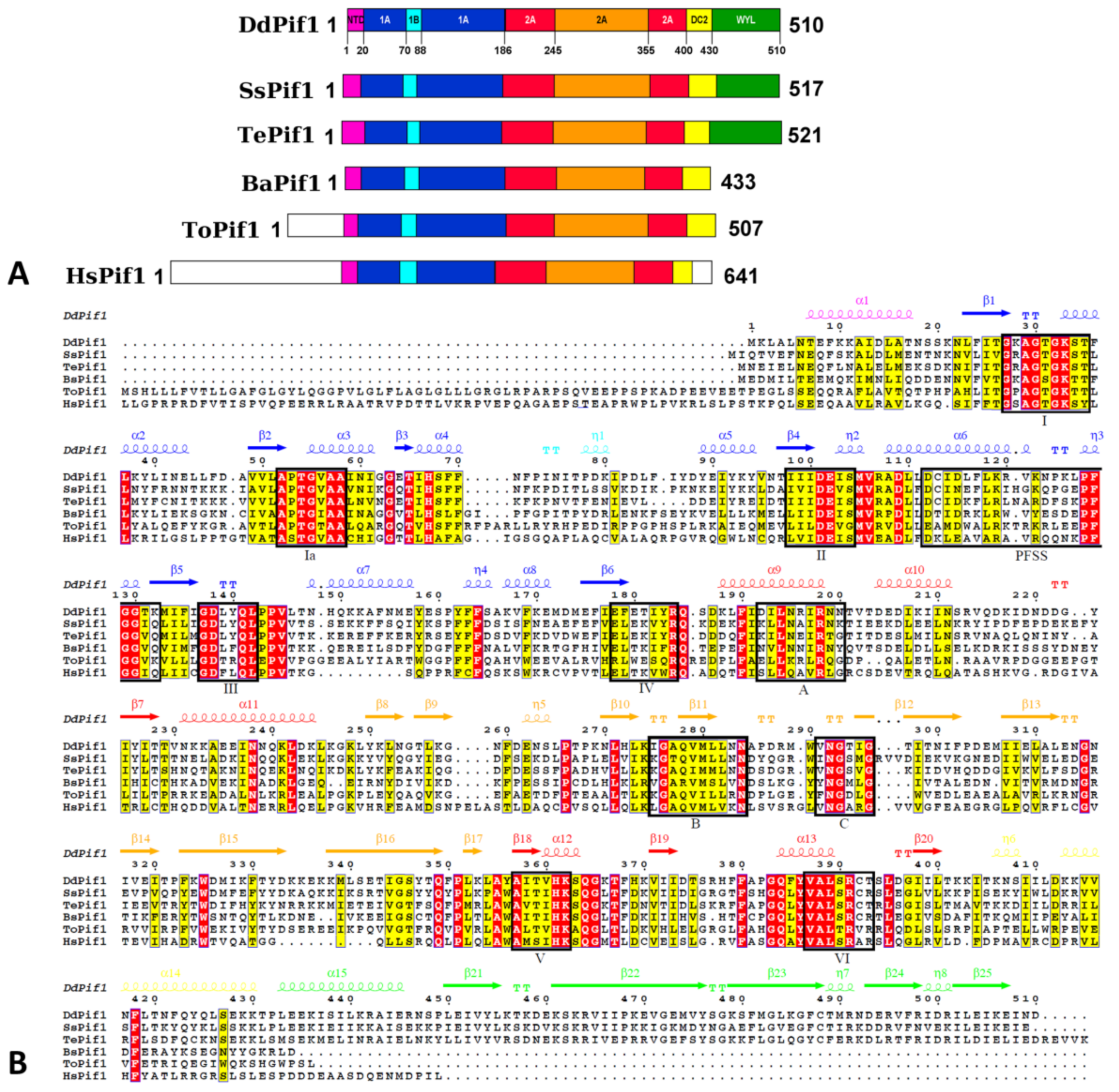 Microorganisms 11 00479 g001 Microorganisms 11 00479 g001