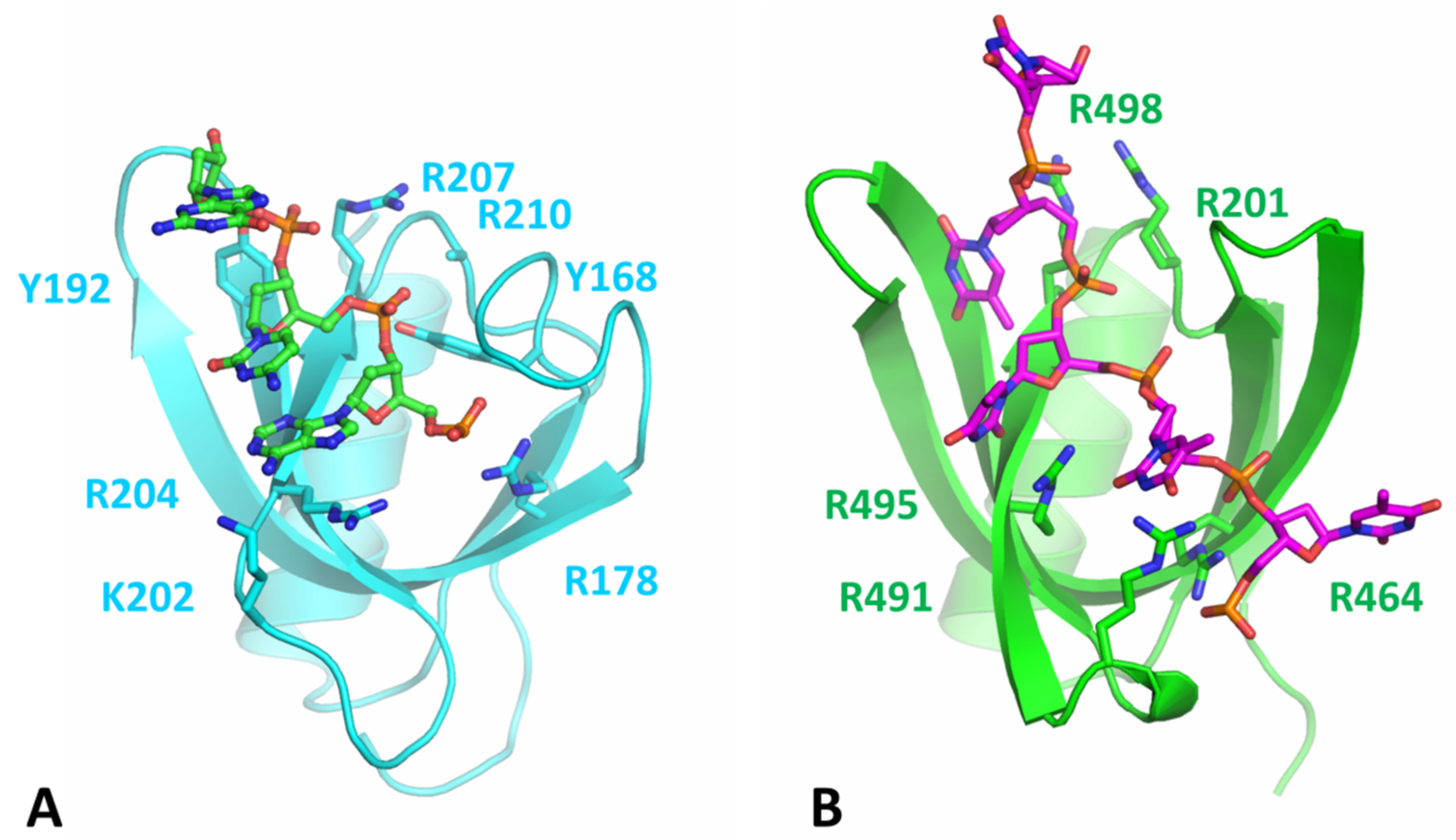 Microorganisms 11 00479 g005 Microorganisms 11 00479 g005