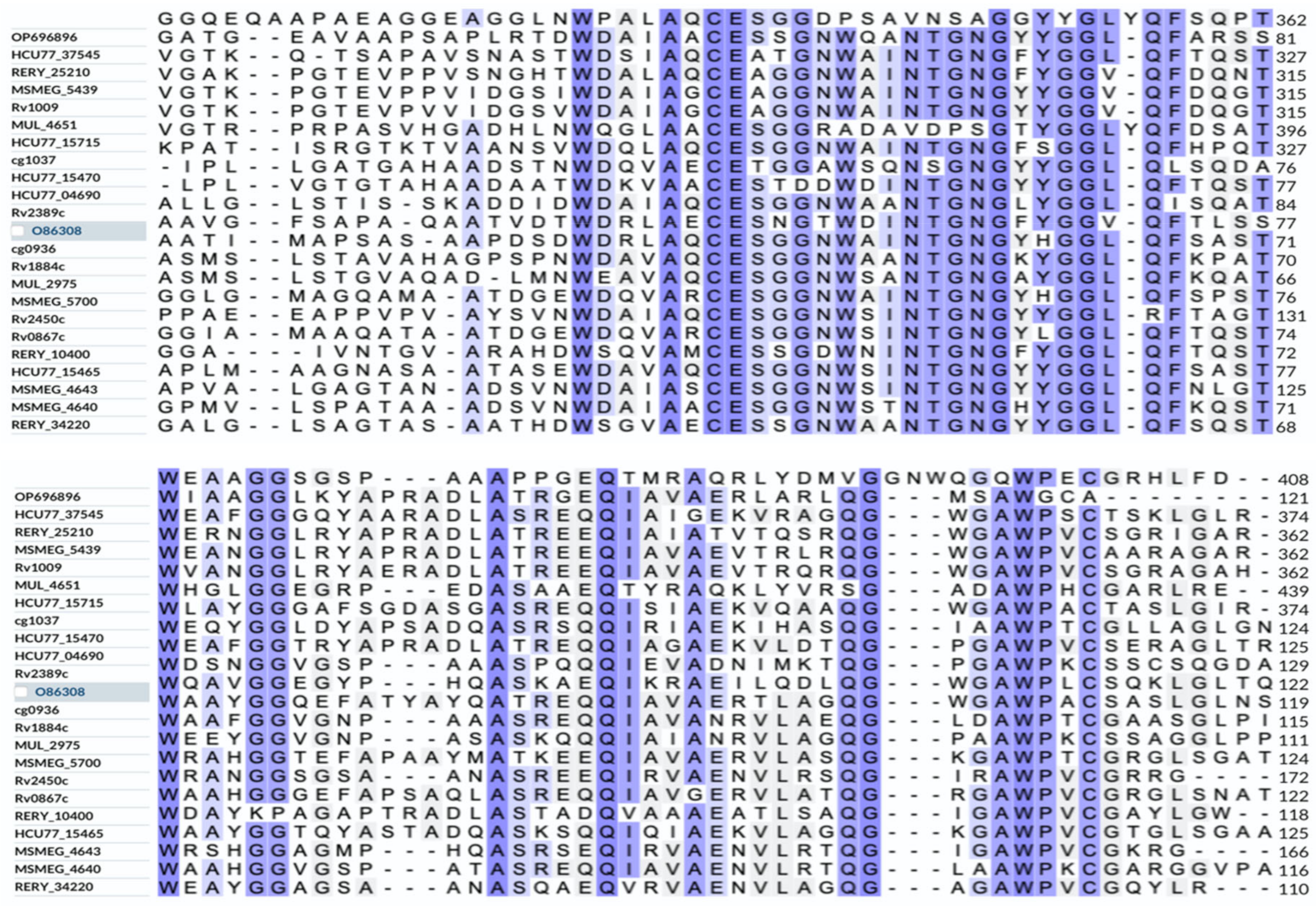Microorganisms 11 00485 g002 Microorganisms 11 00485 g002