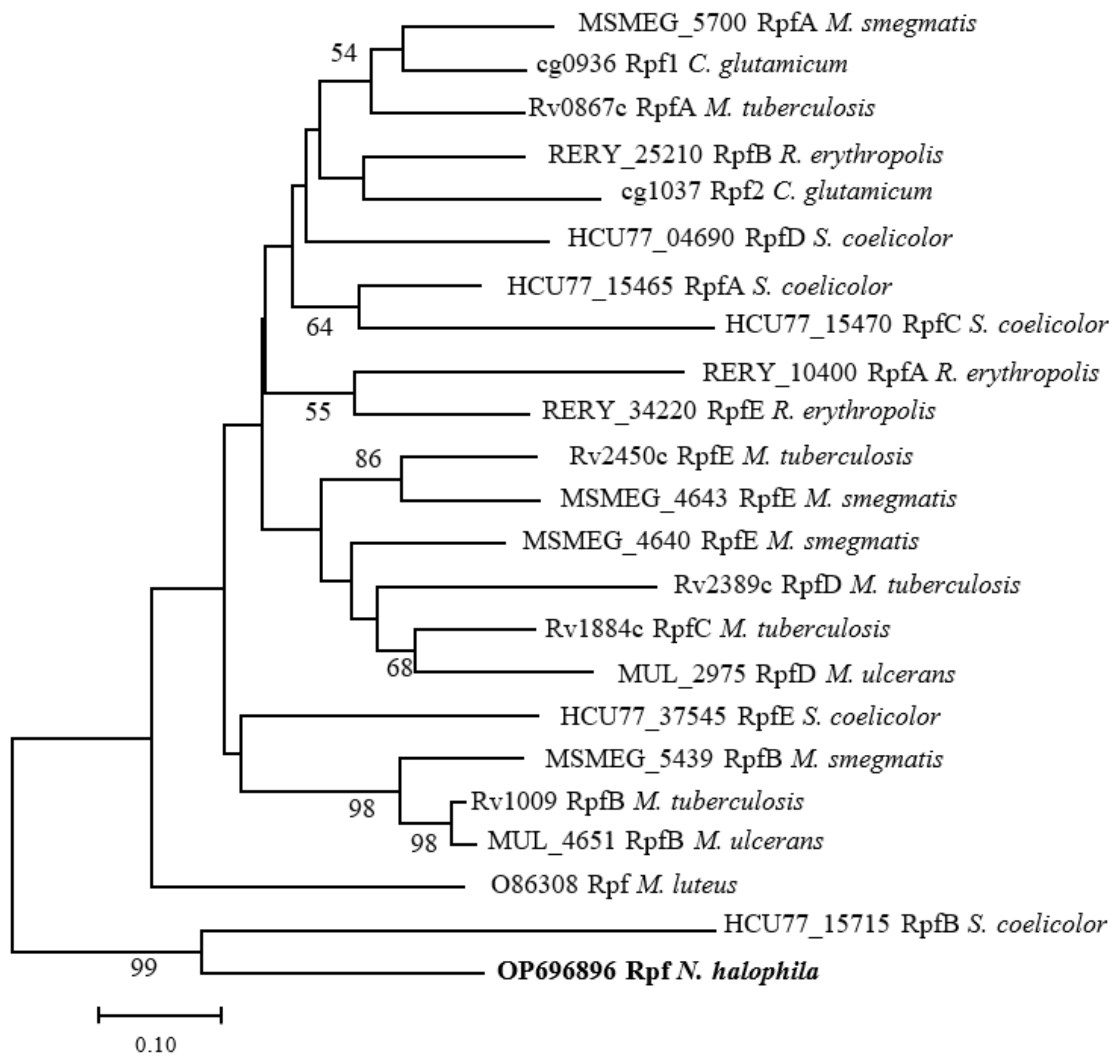 Microorganisms 11 00485 g003 Microorganisms 11 00485 g003