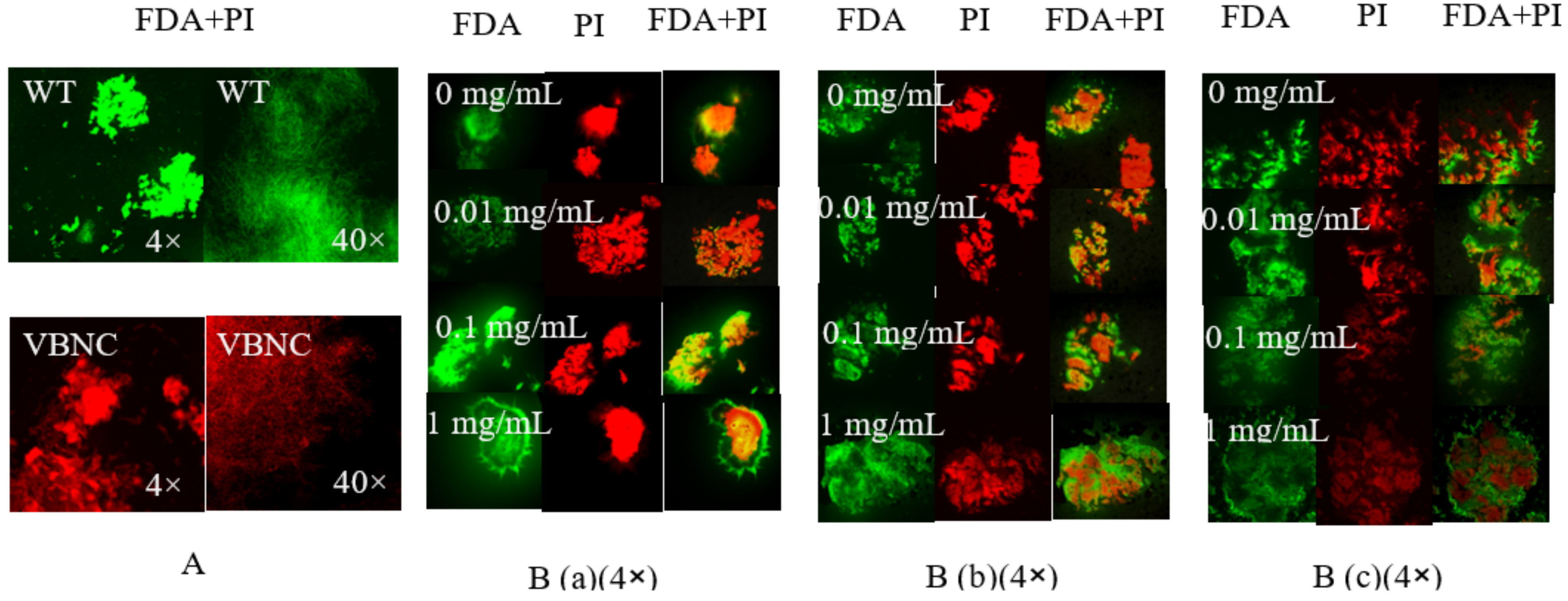 Microorganisms 11 00485 g005 Microorganisms 11 00485 g005