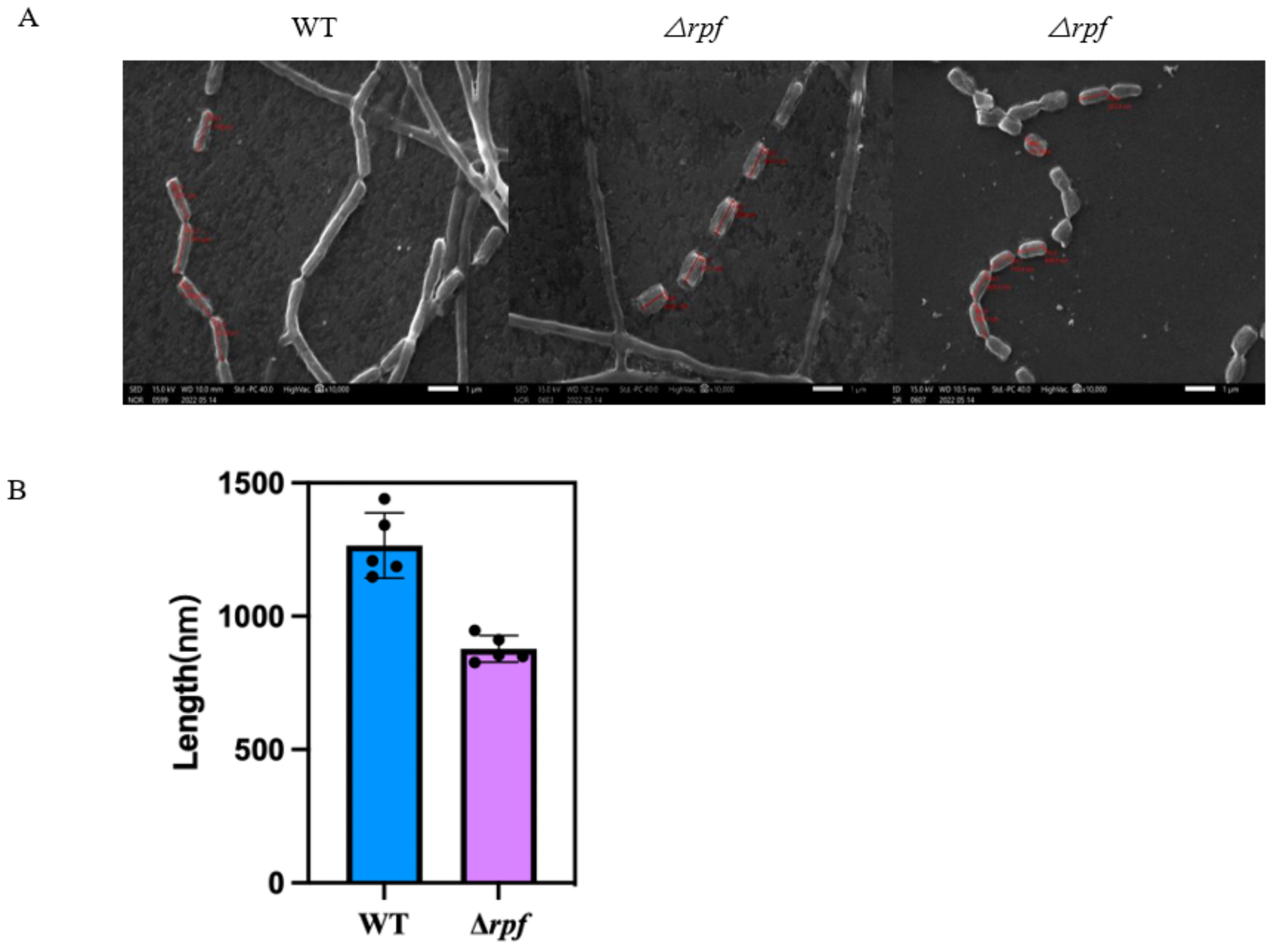 Microorganisms 11 00485 g009 Microorganisms 11 00485 g009
