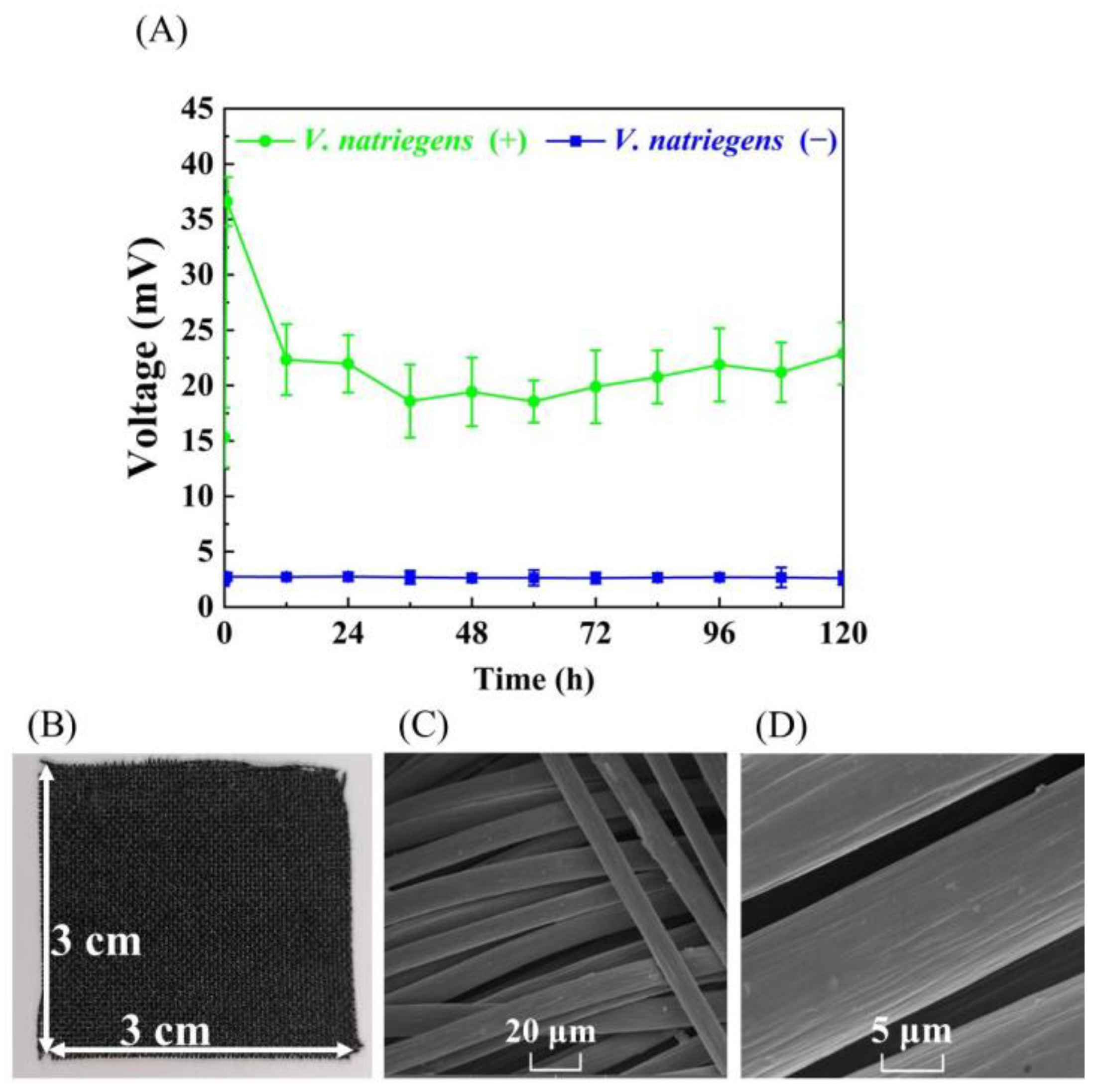 Microorganisms 11 00490 g003