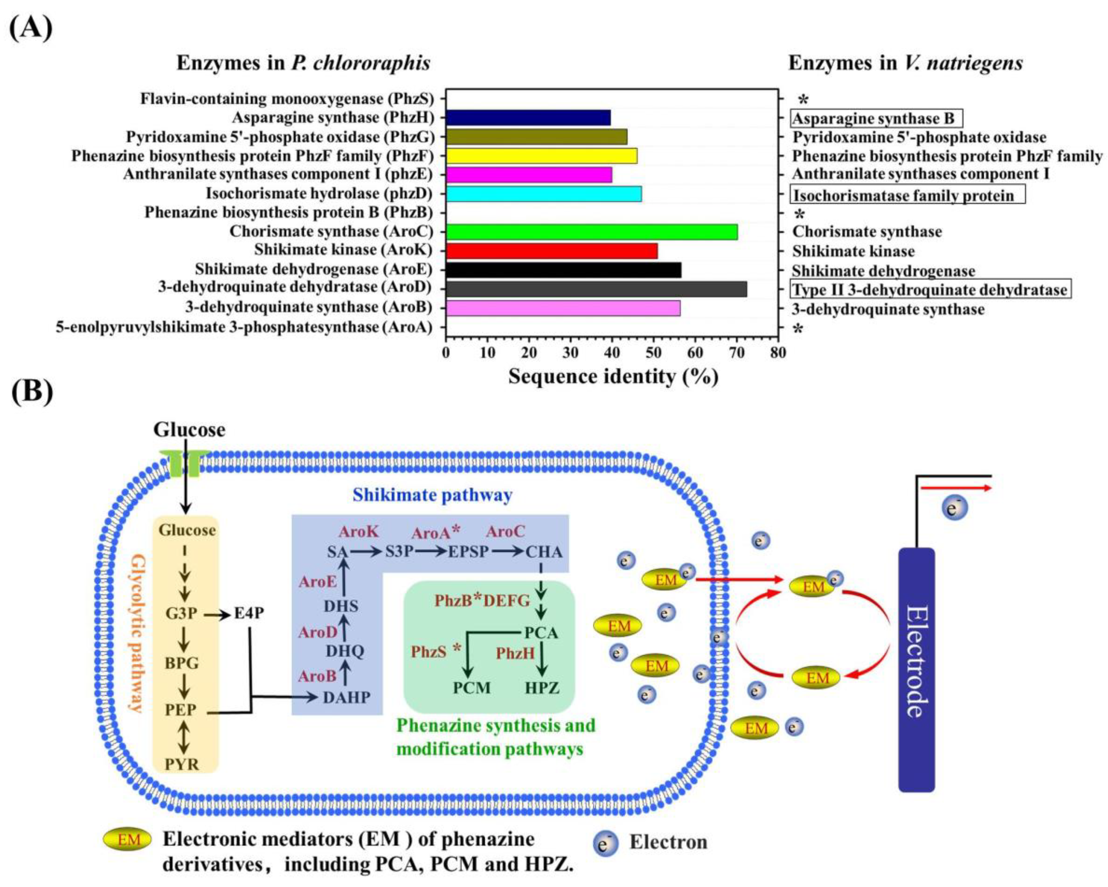 Microorganisms 11 00490 g007