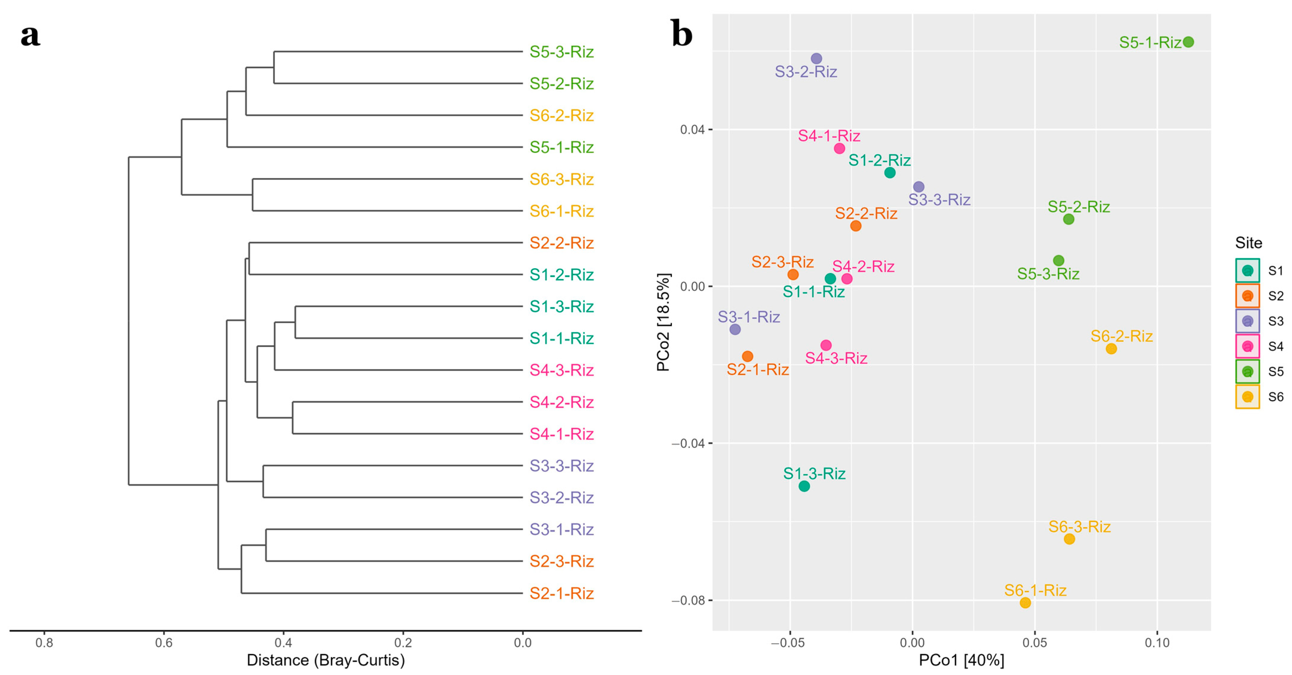 Microorganisms 11 00494 g004 Microorganisms 11 00494 g004