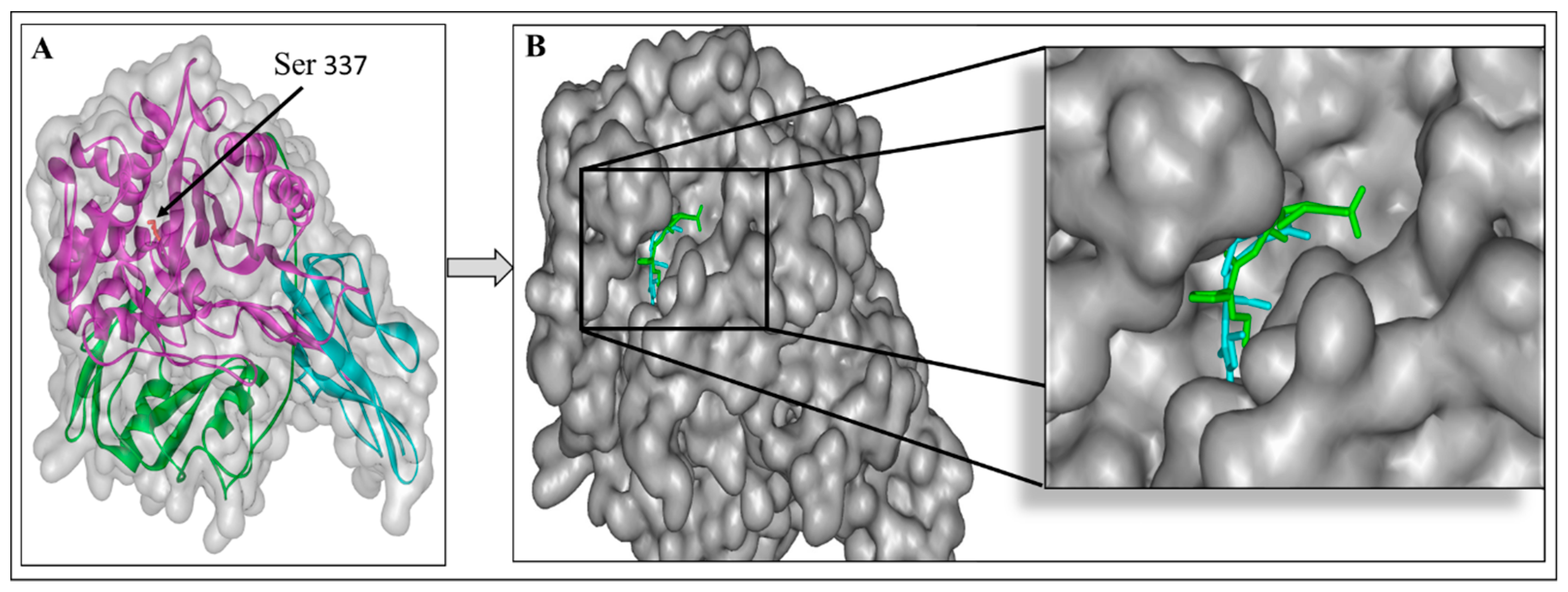 Microorganisms 11 00495 g004 Microorganisms 11 00495 g004