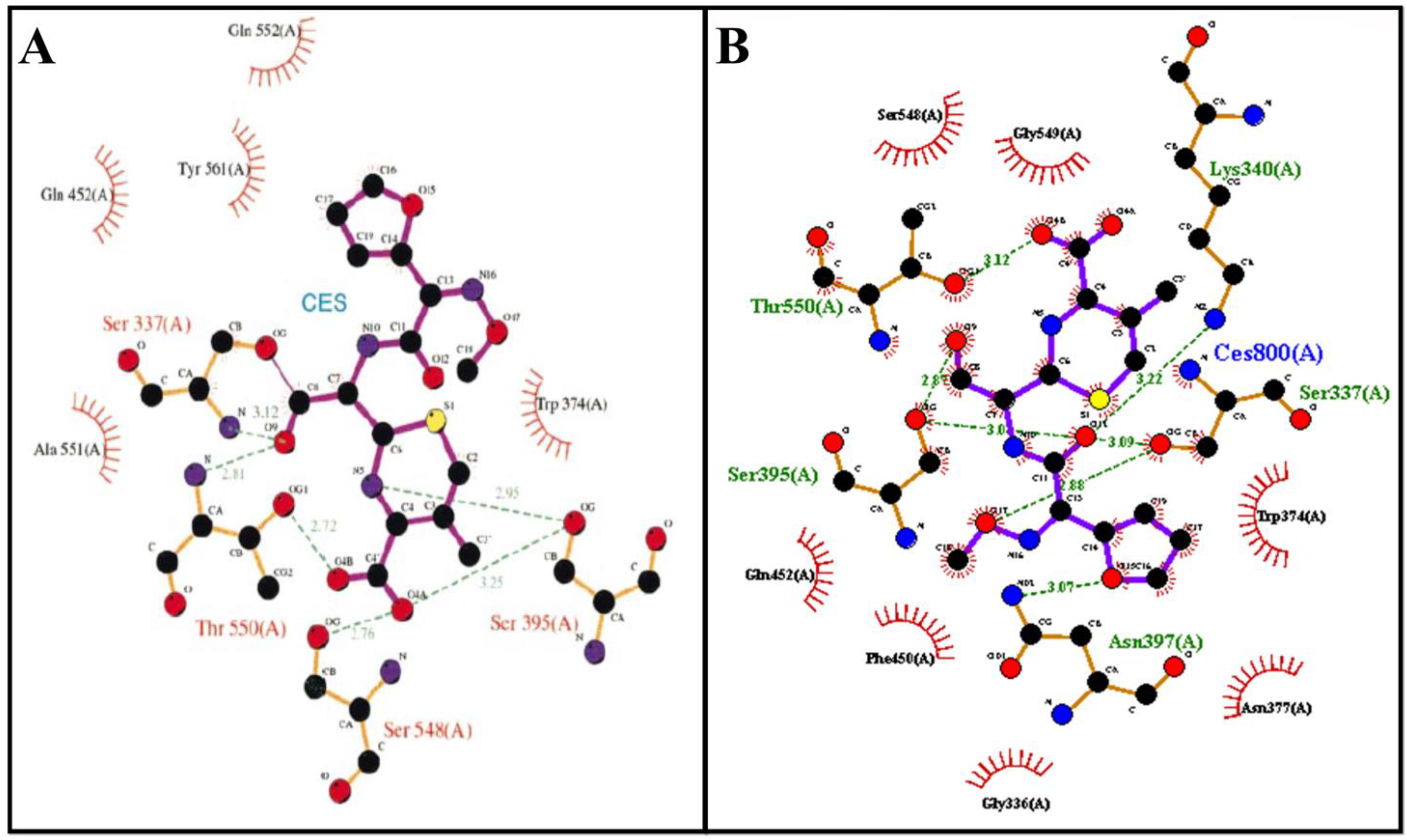 Microorganisms 11 00495 g005 Microorganisms 11 00495 g005