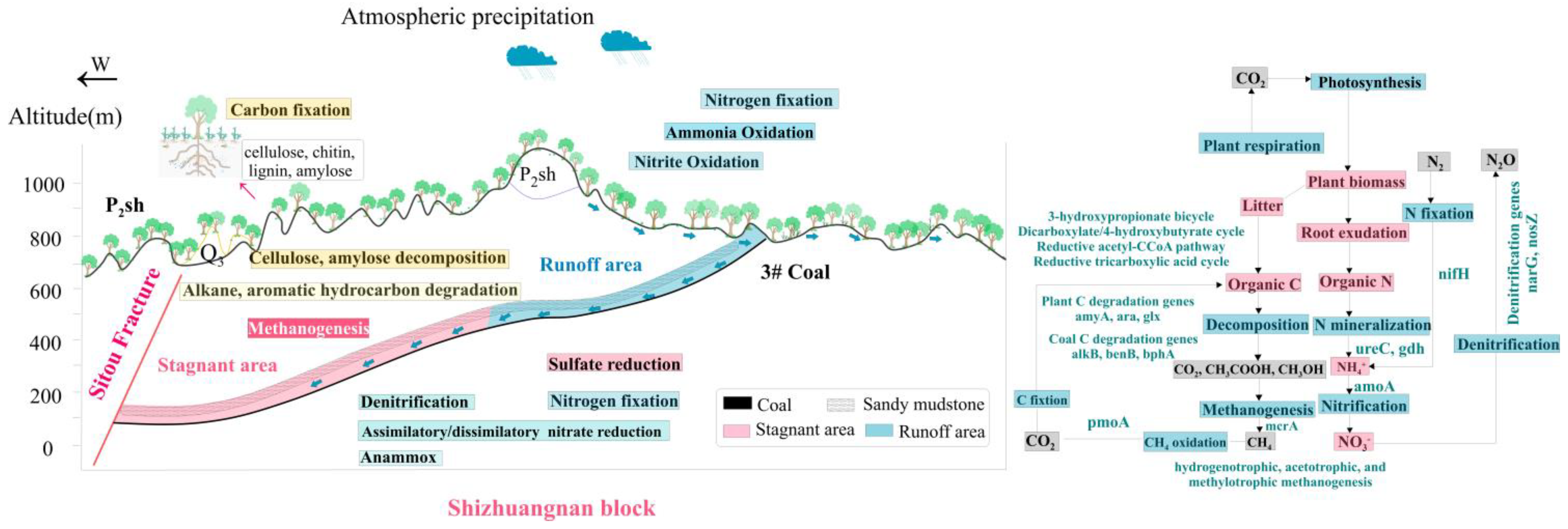 Microorganisms 11 00497 g009